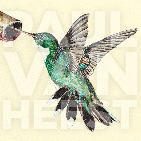 Hummingbird-Series-Kazoo-alt1-WM.png