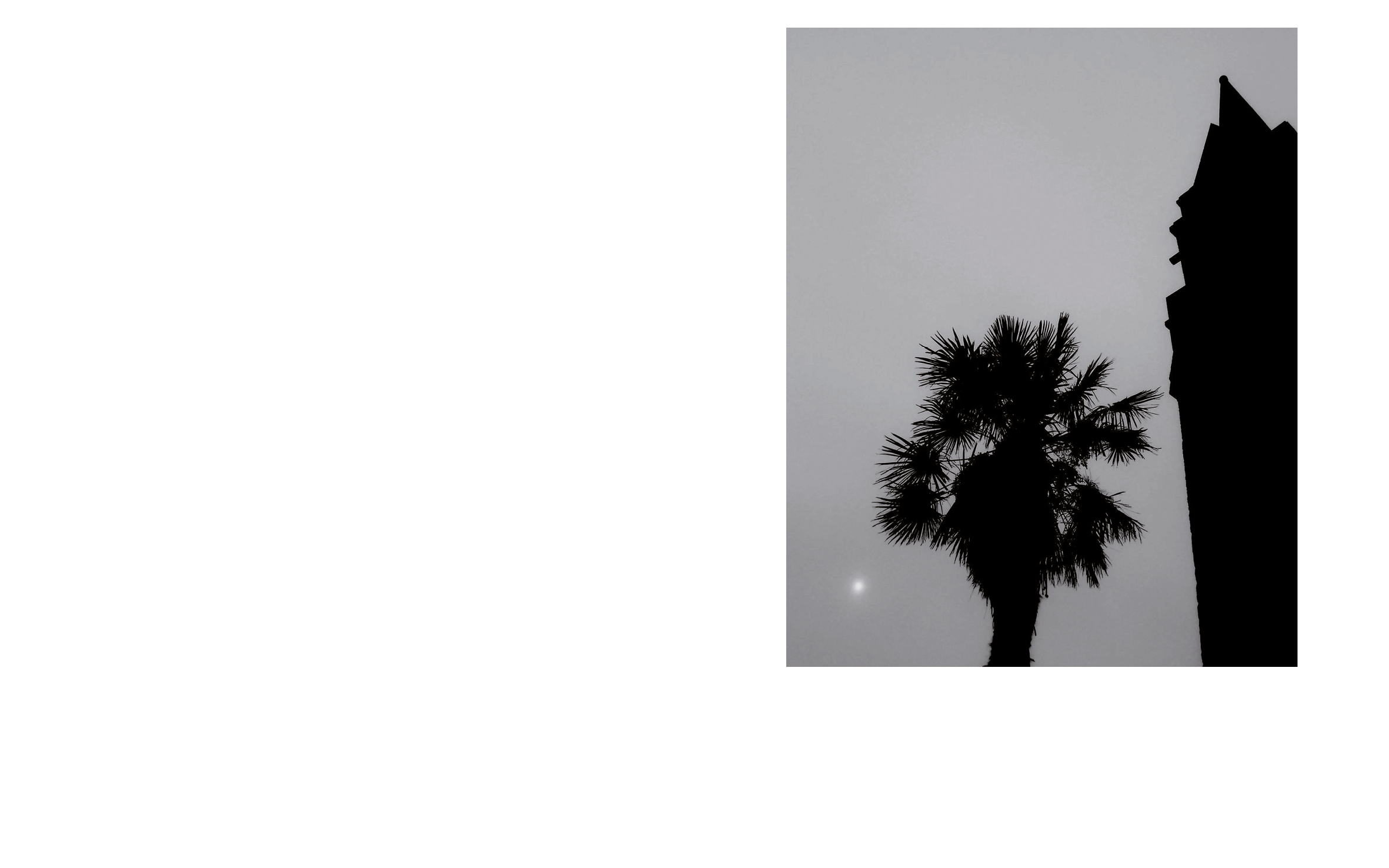 a1_instabook_2018421.jpg
