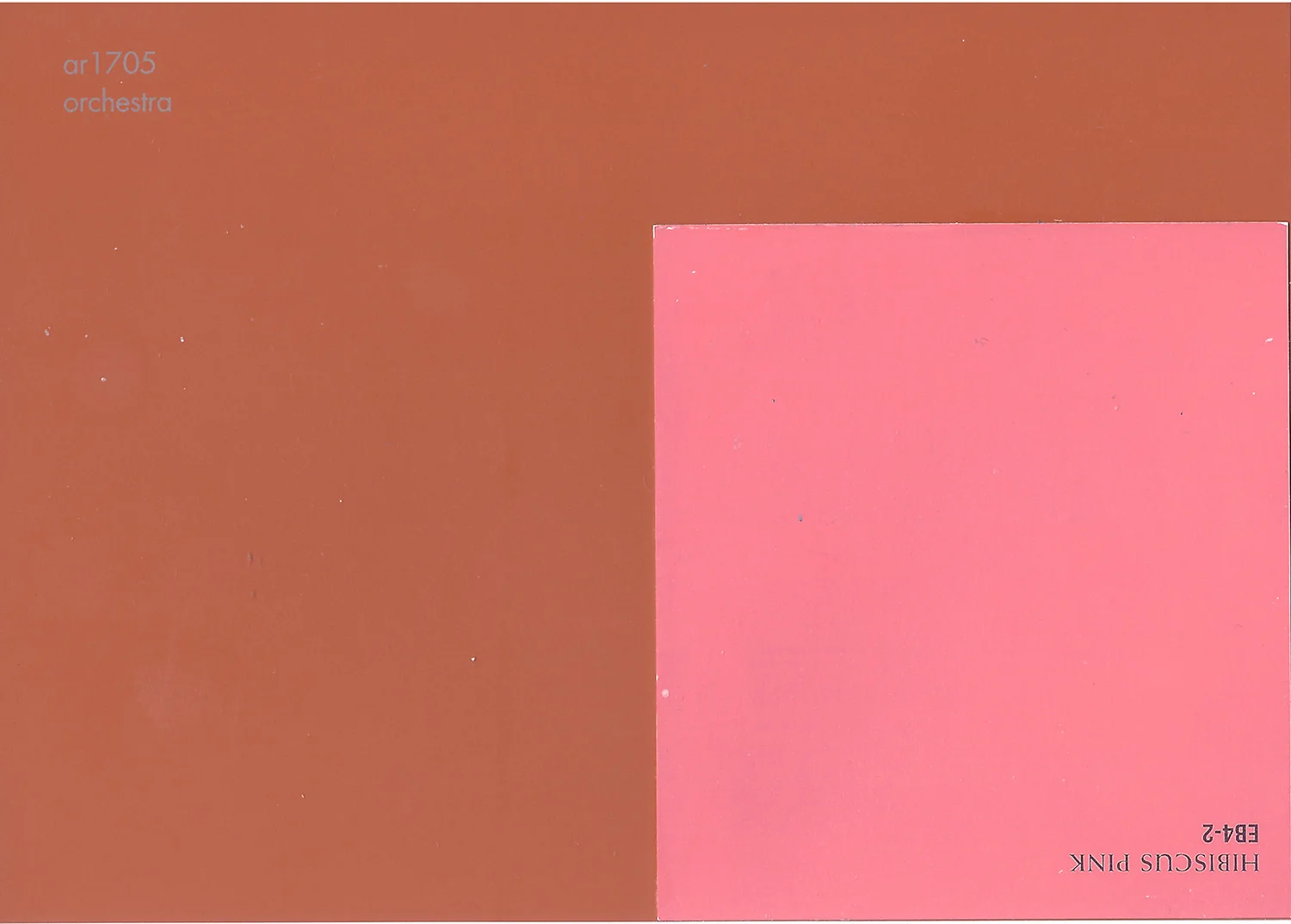 ColorType-Orchestra=web.jpg