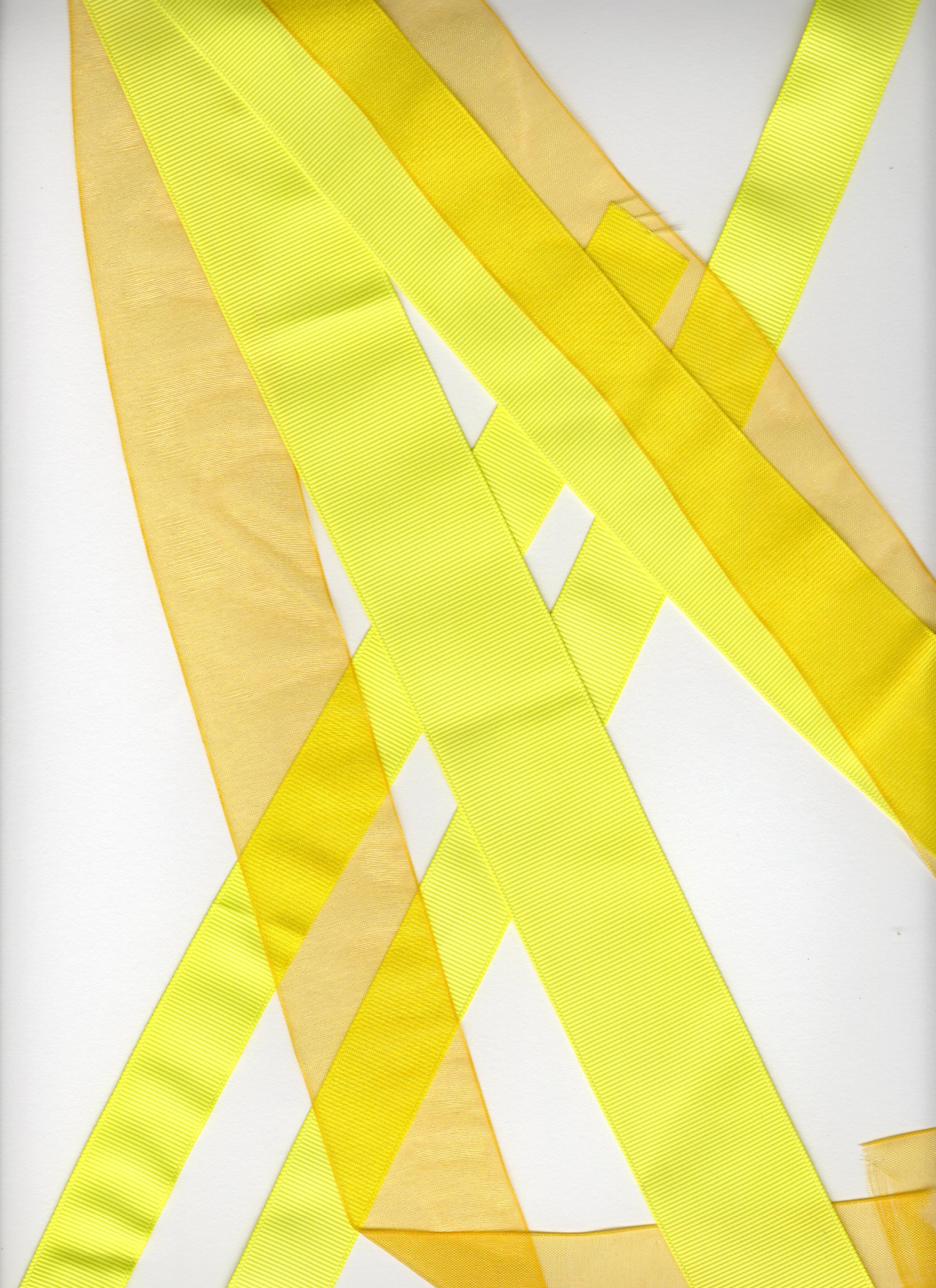 Ribbon.Oct2016003.jpg