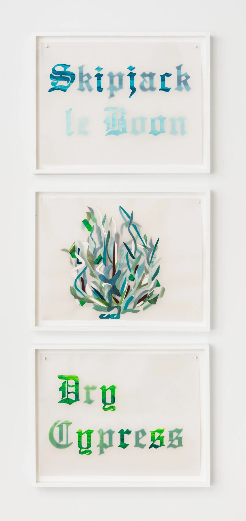 Lisa Blas / Tanja Grunert gallery / January 2017 / New York Photography: Stan Narten