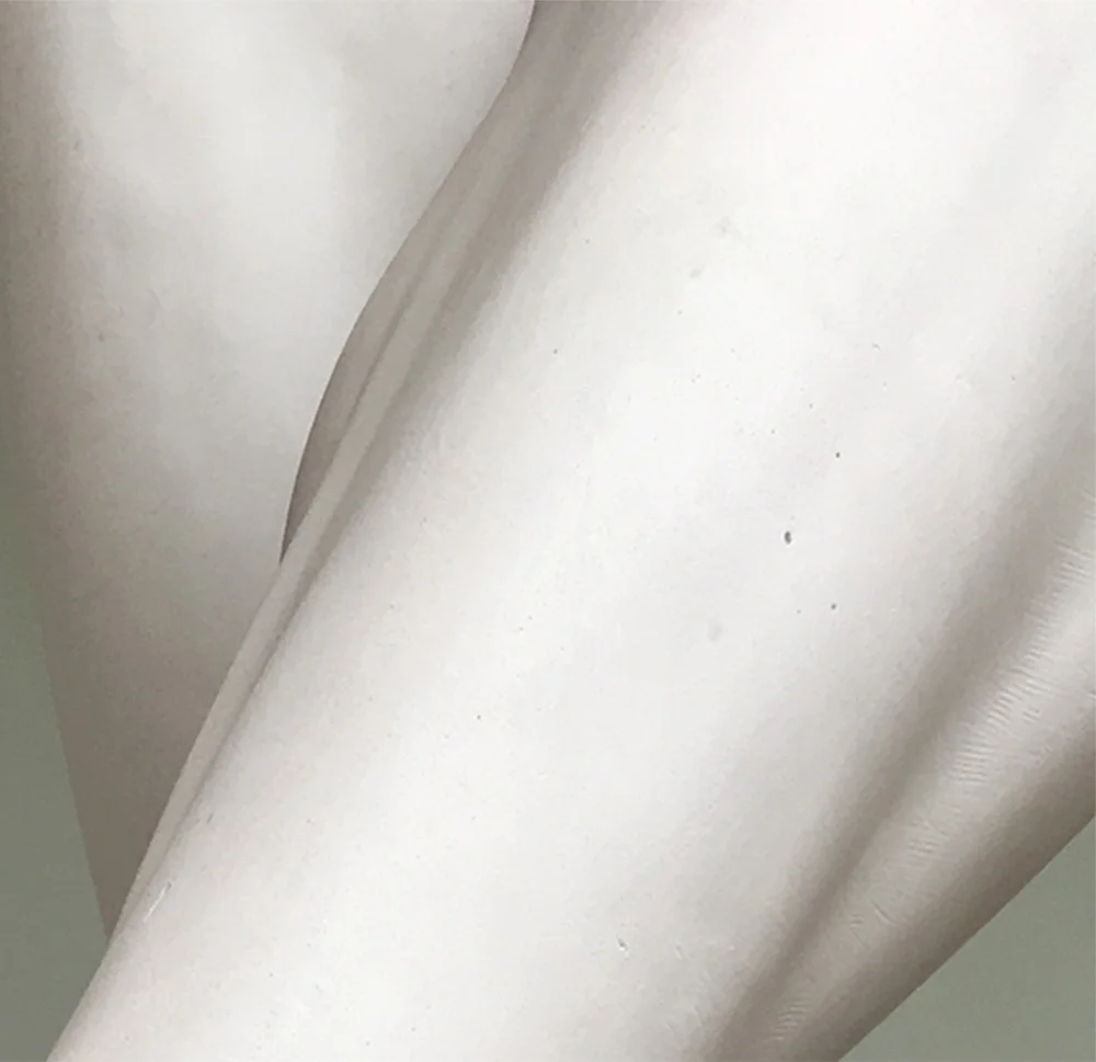 Lisa Blas, detail, Autoportrait, VIVIIMMXVIII, 2018