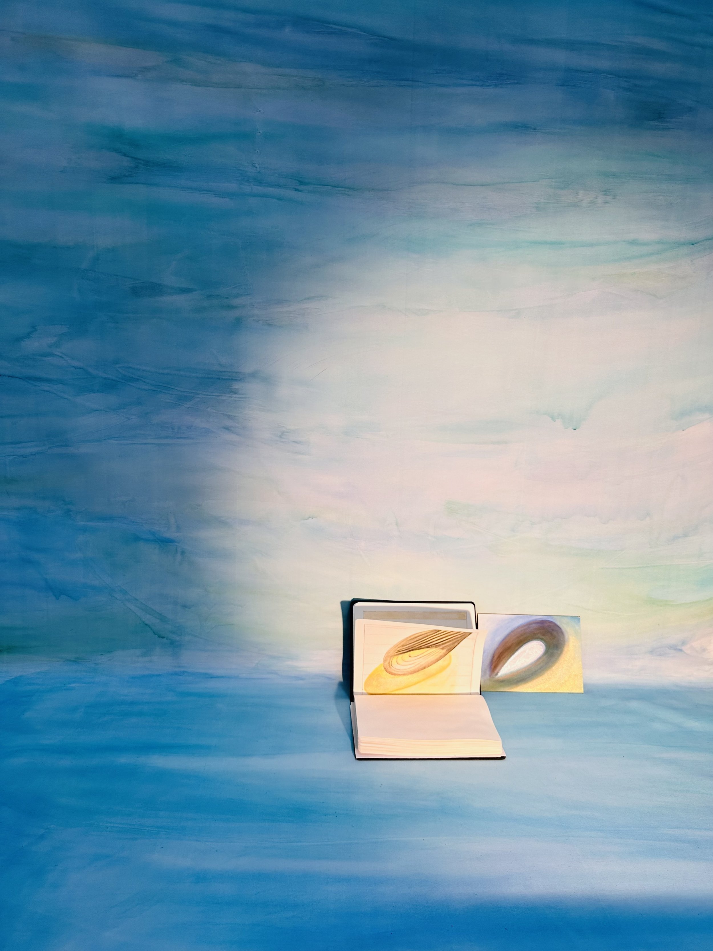 Lisa Blas, Artist-in-Residence, West Cork Arts Centre , work-in-progress, April - May 2025.