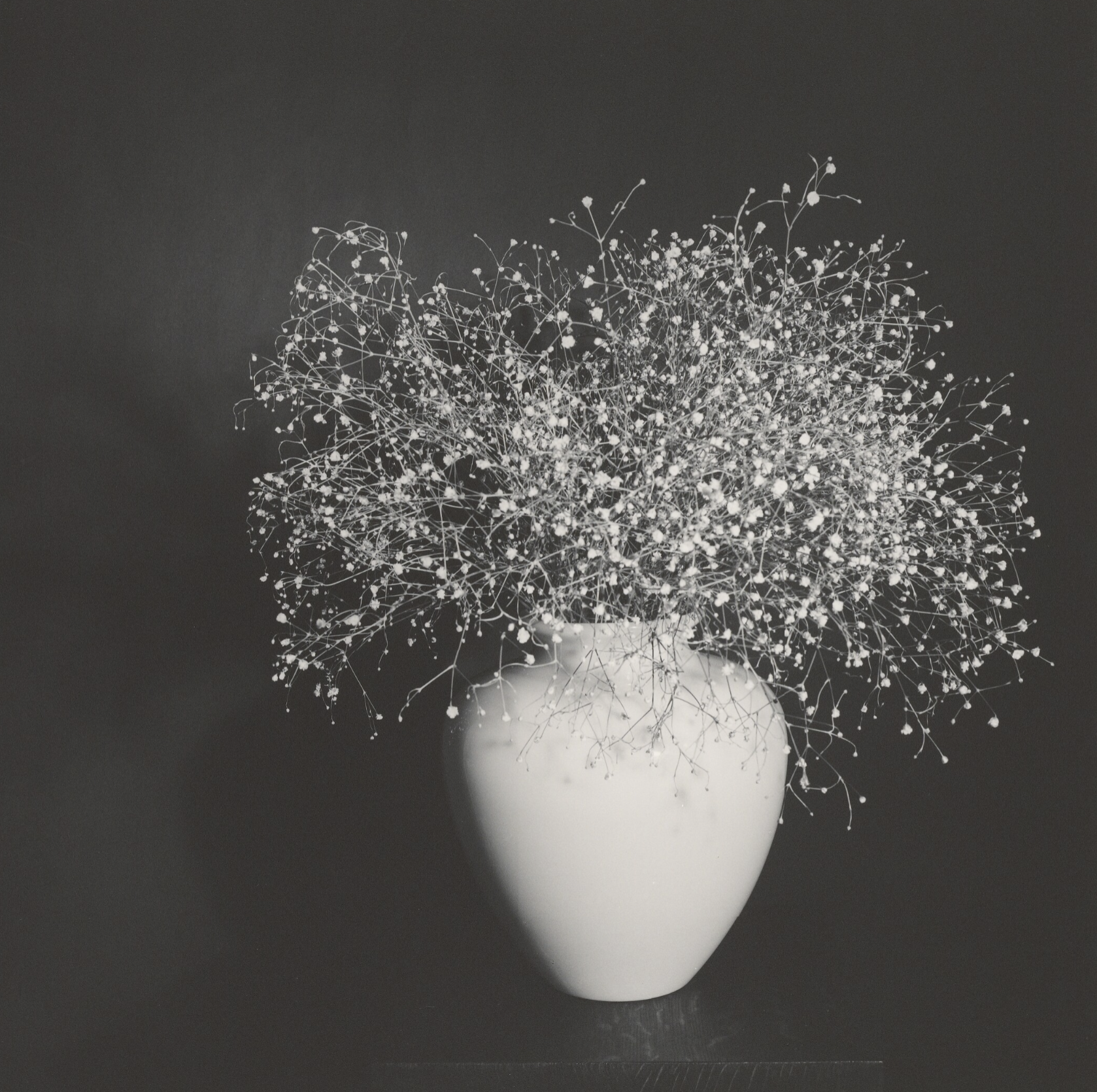 Monday's image: December 15, 2025