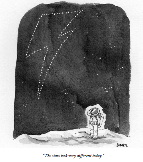 Image by B. Schwartz - The New Yorker