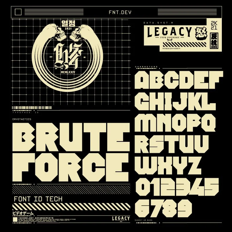 BRUTEFORCE.jpg