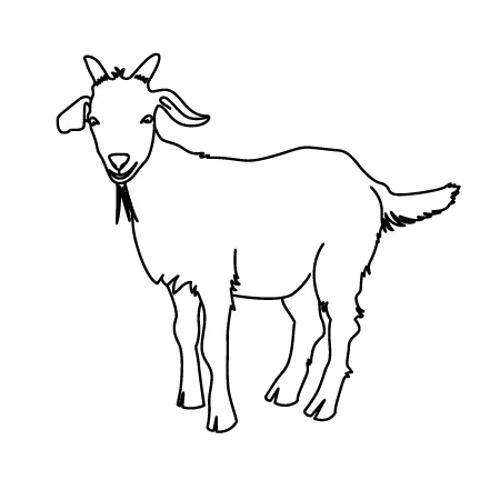 404goat.jpg