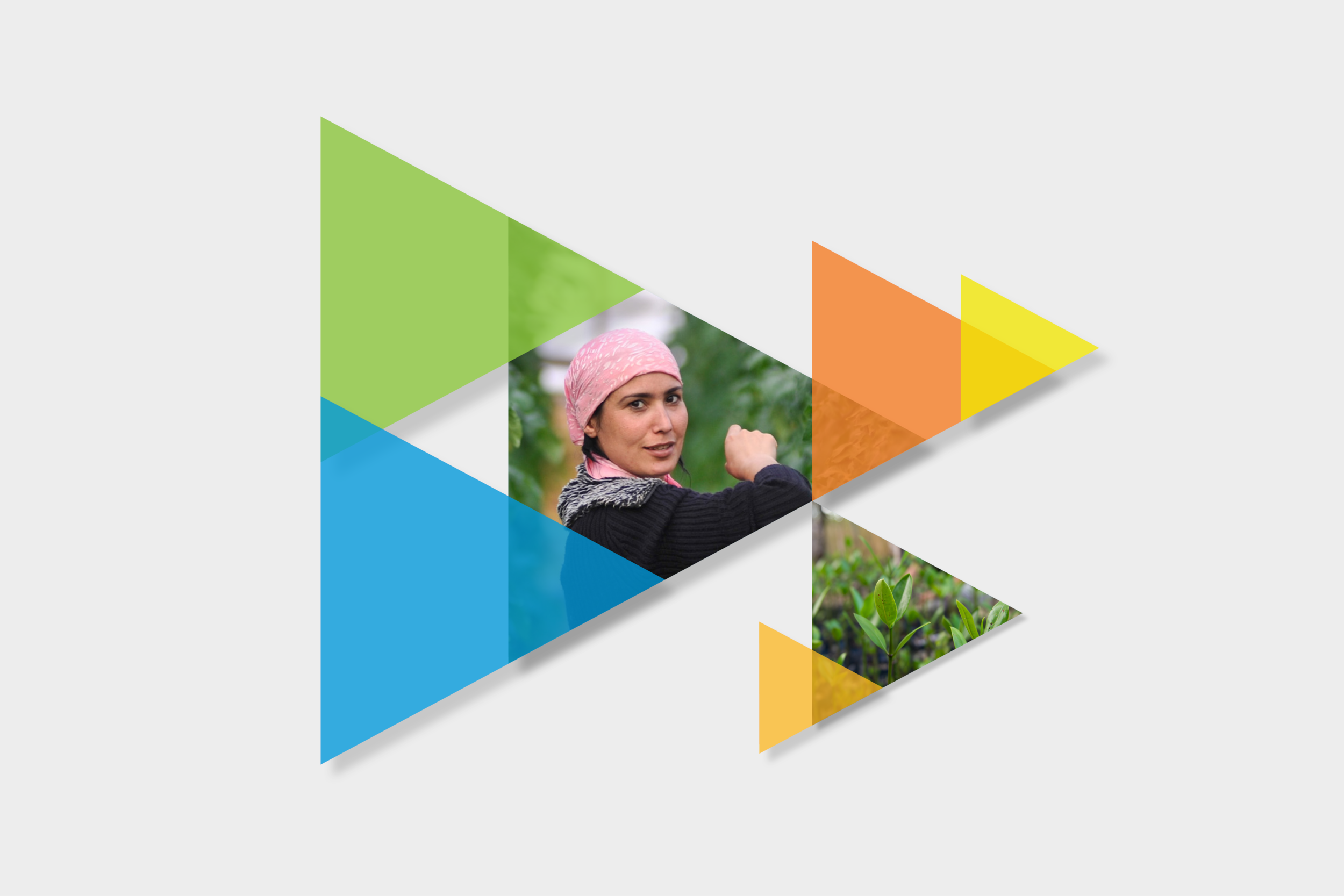  A graphic system and conference visuals for the Procurement Portfolio and Financial Management  Department at the Asian Development Bank 