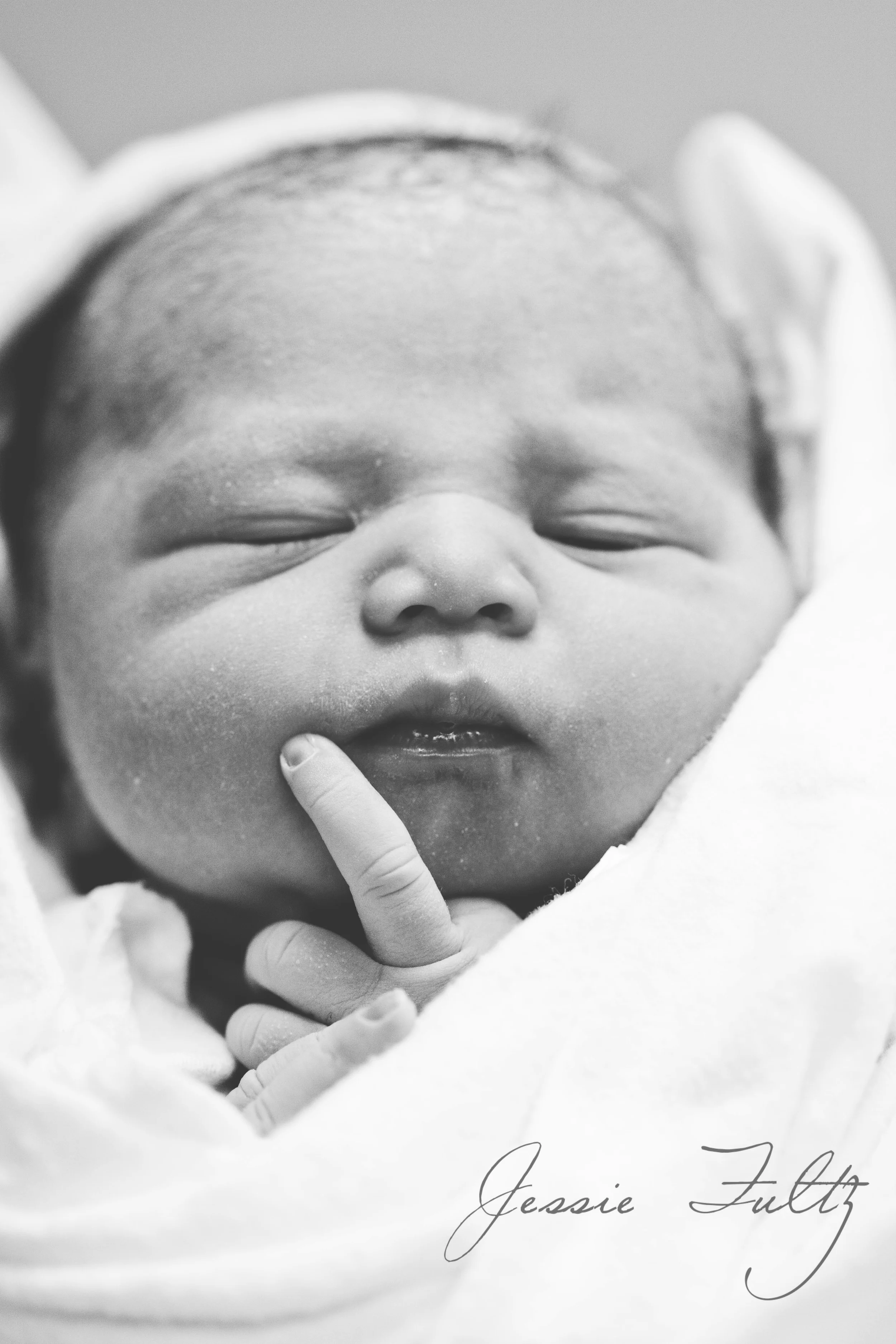 Asheville Newborn Photography