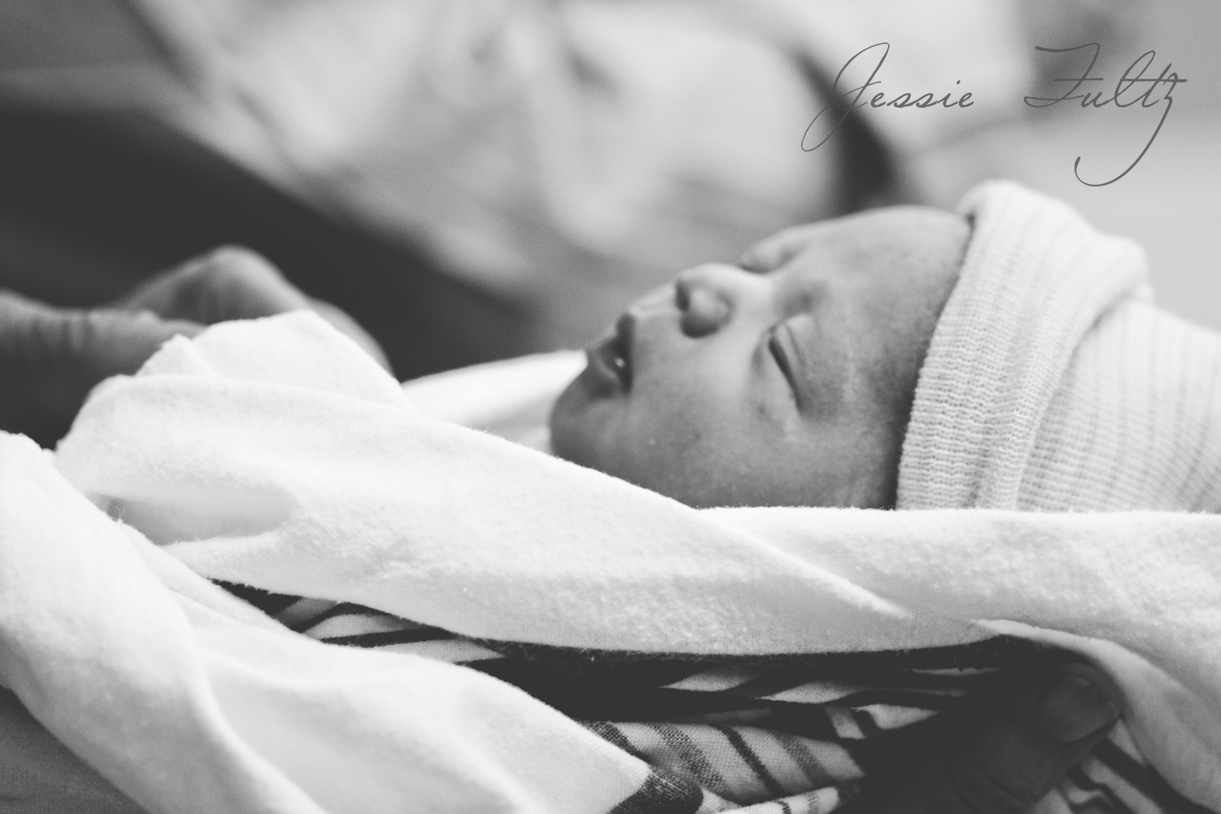Asheville Newborn Photography