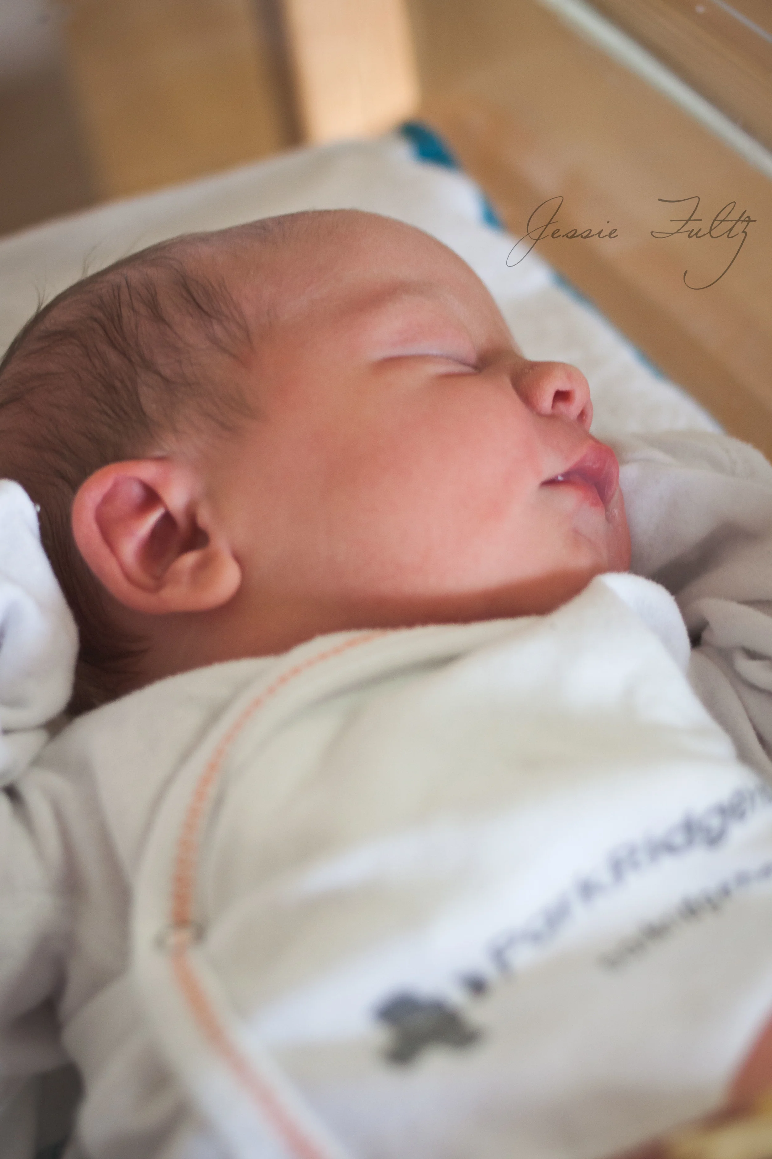 Asheville Newborn Photography