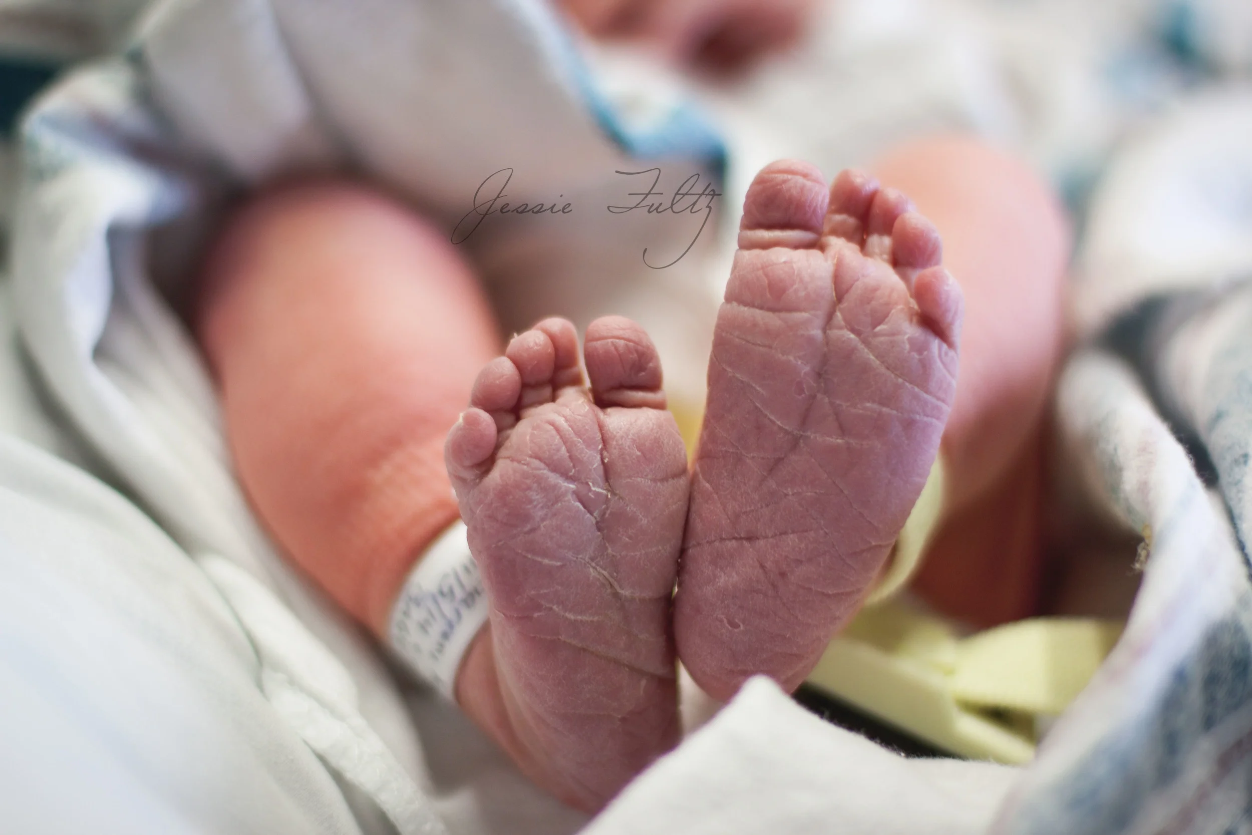 Asheville Newborn Photography