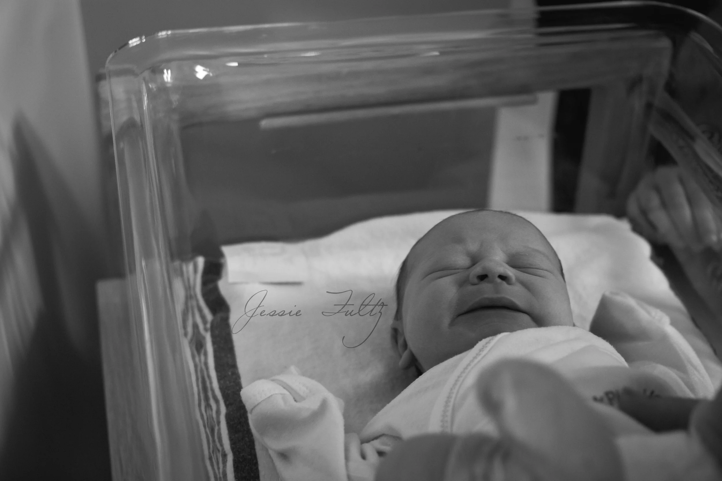 Asheville Newborn Photography