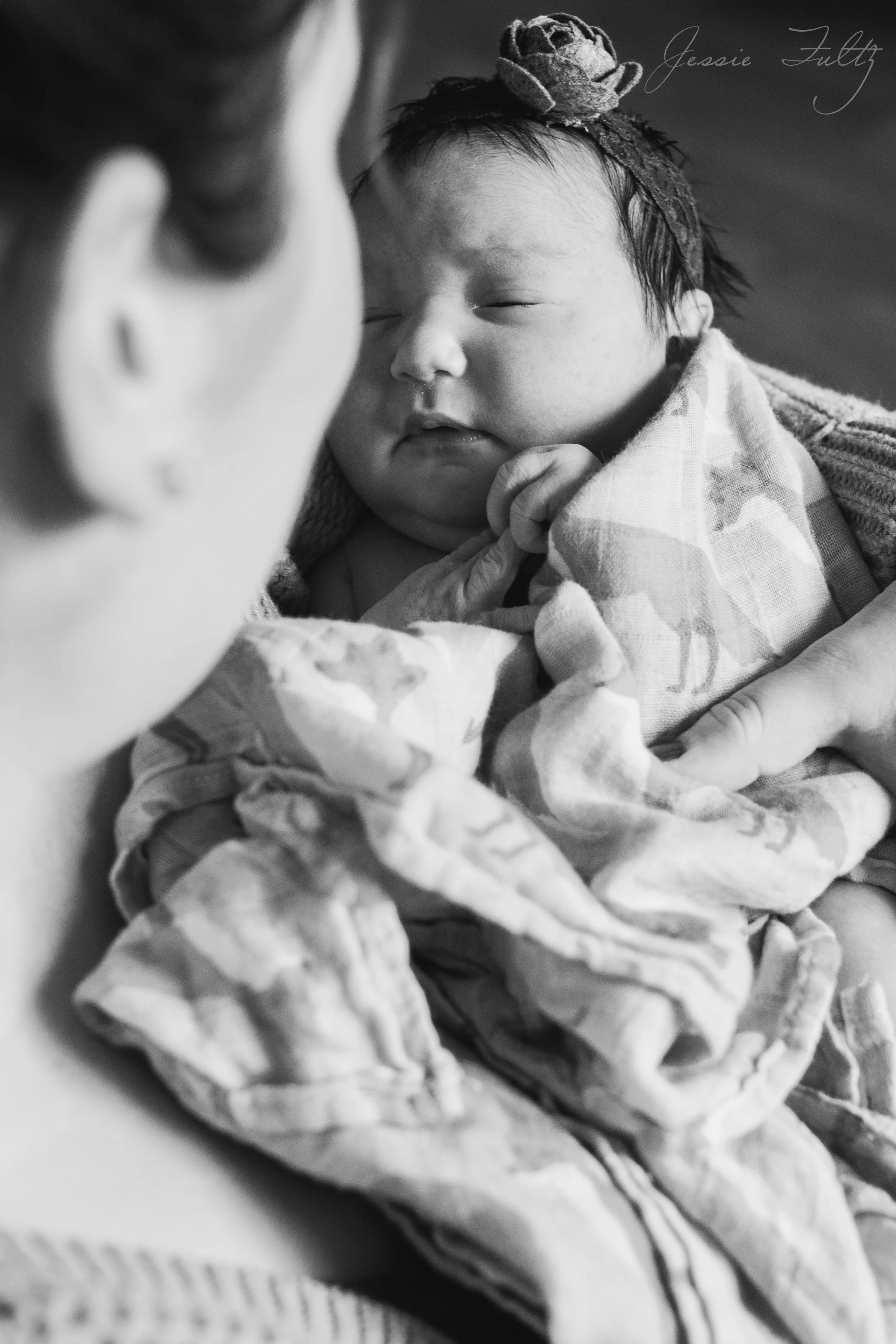 Asheville Newborn Photography