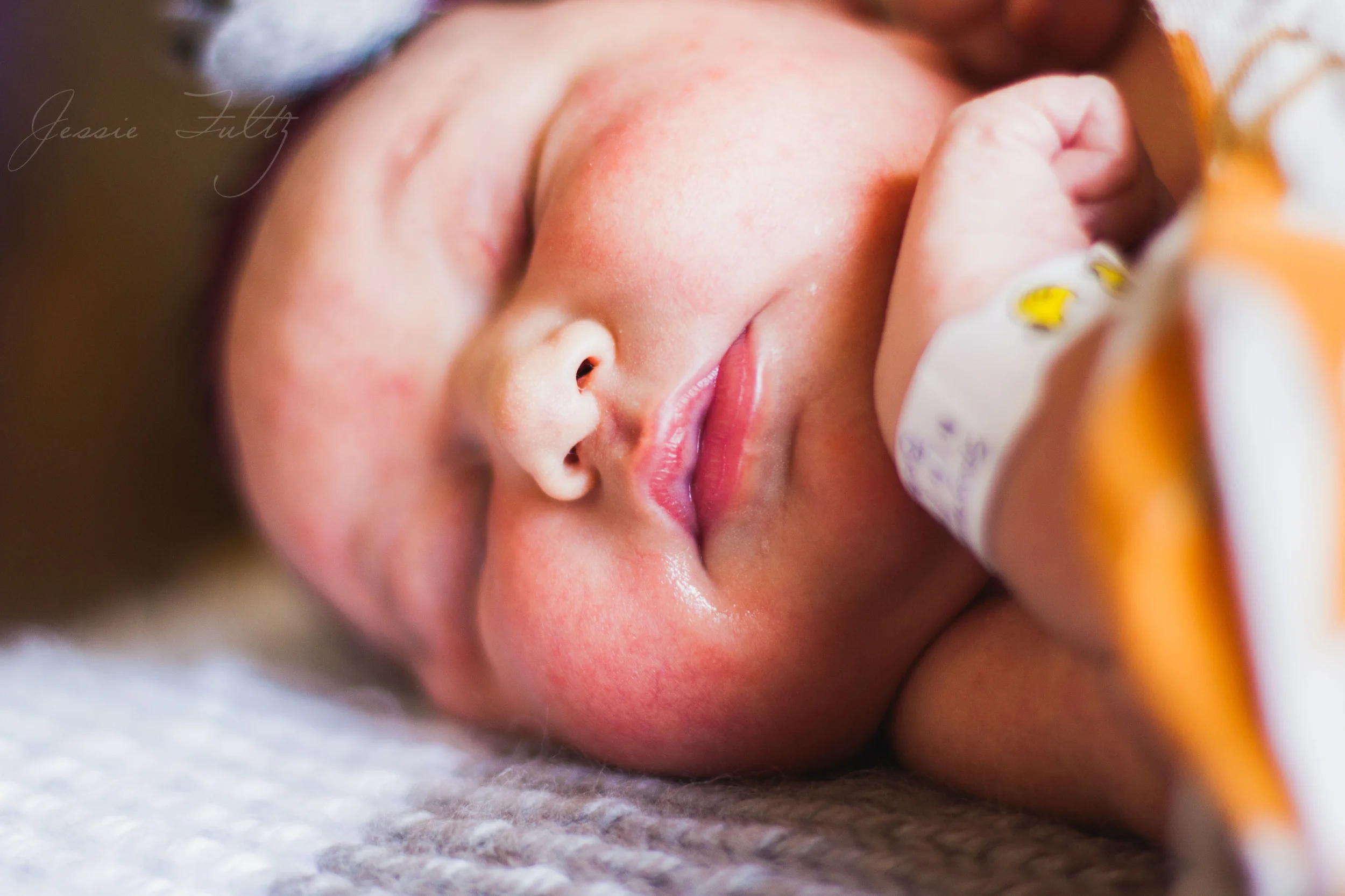 Asheville Newborn Photography