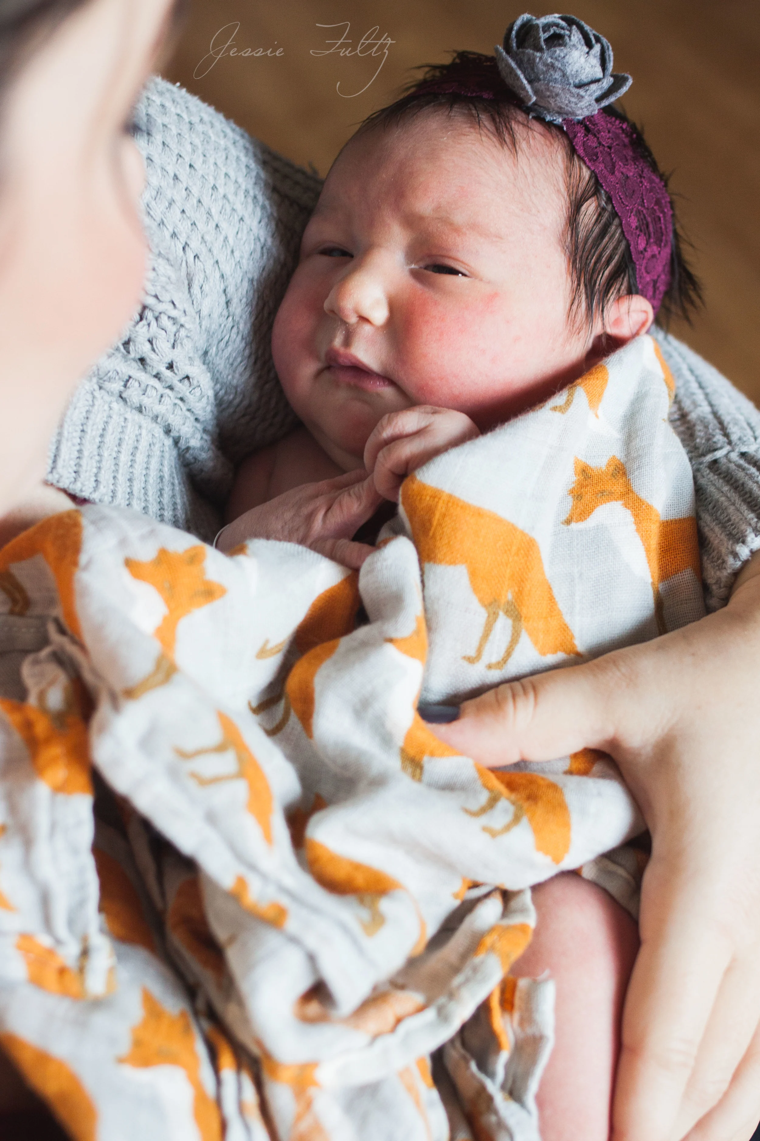 Asheville Newborn Photography