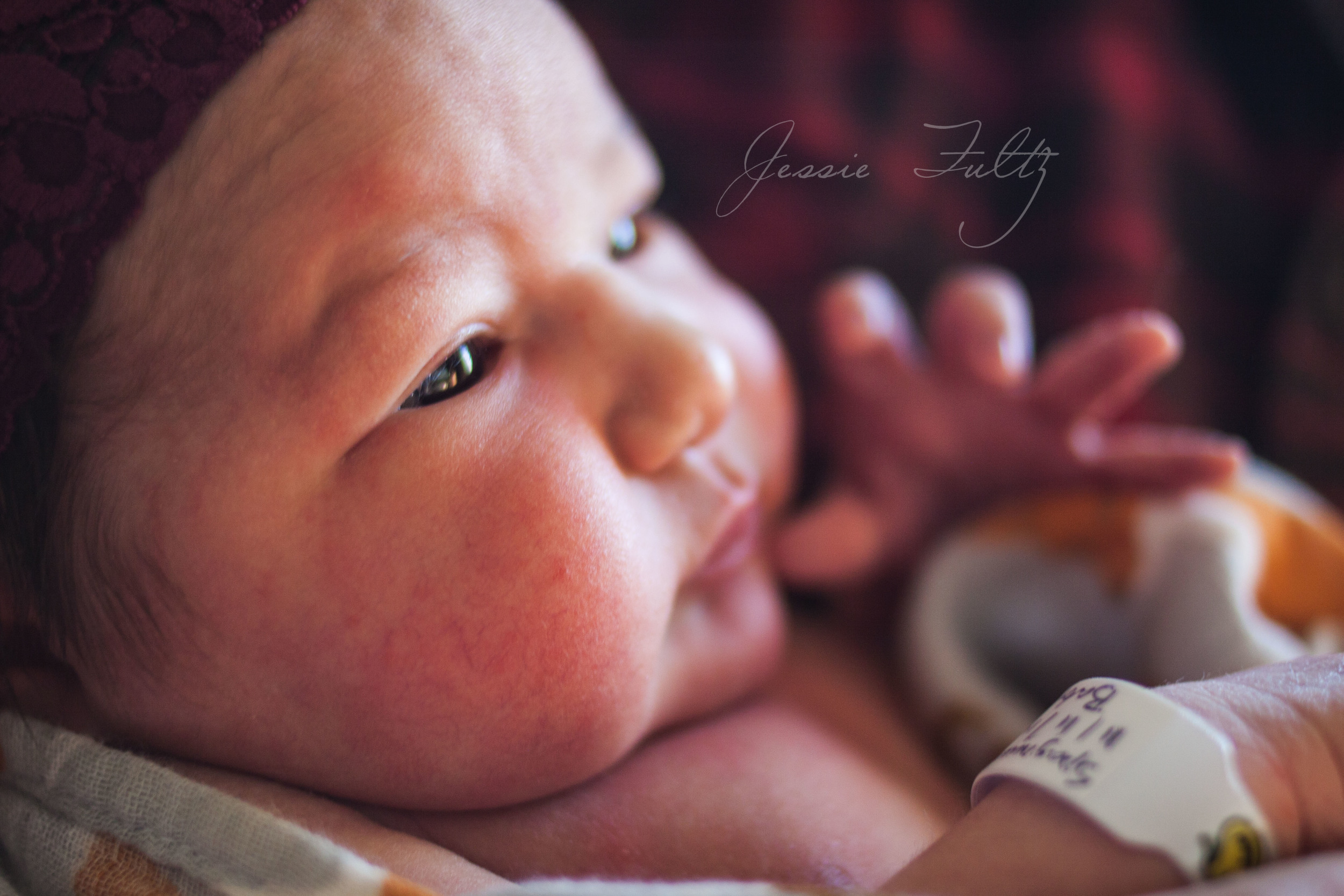 Asheville Newborn Photography