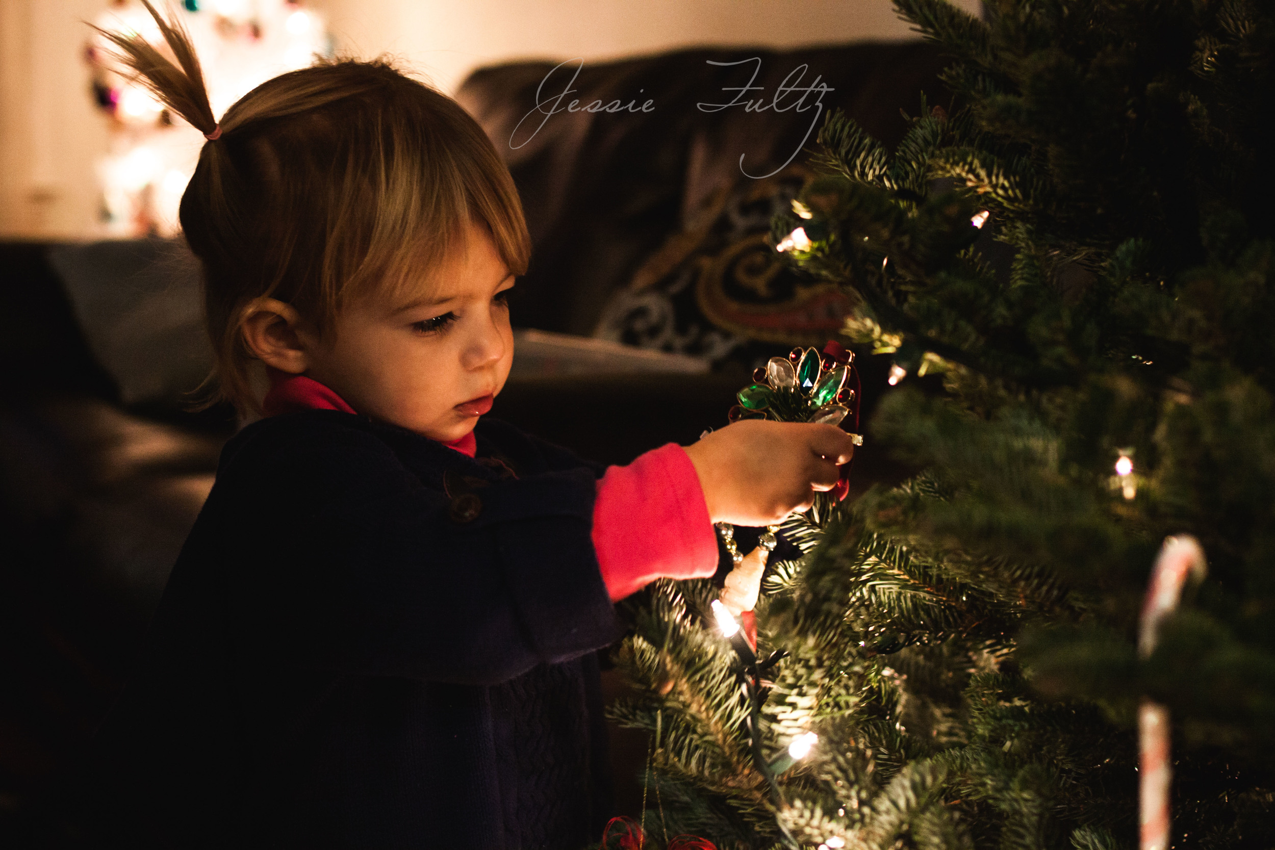 Asheville Family Photography