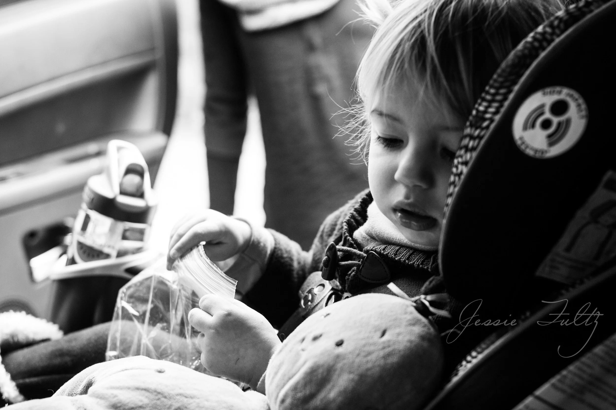 Asheville Family Photography