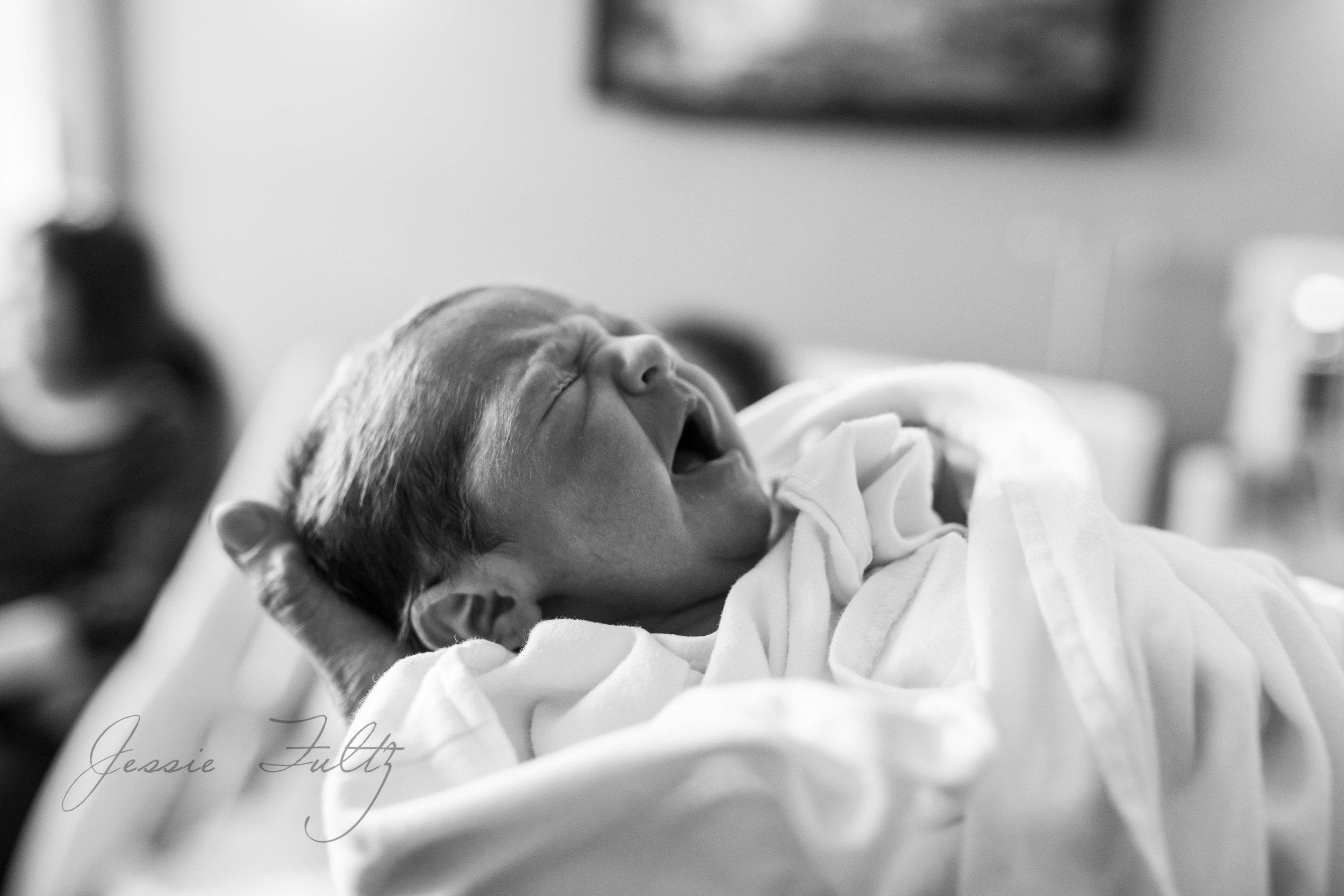 asheville-twin-birth