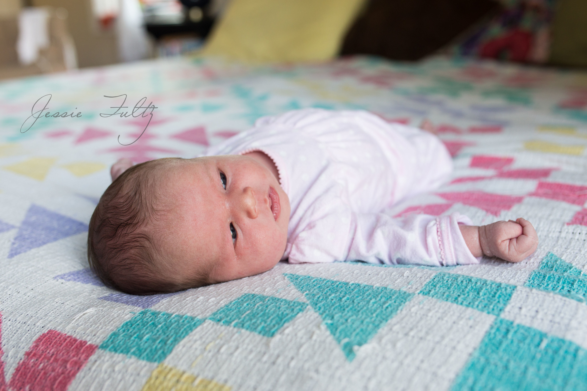 asheville-newborn-photographer