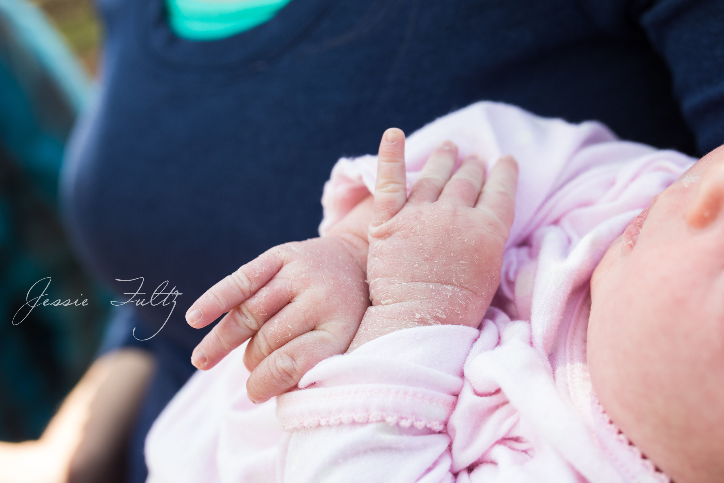 asheville-newborn-photos