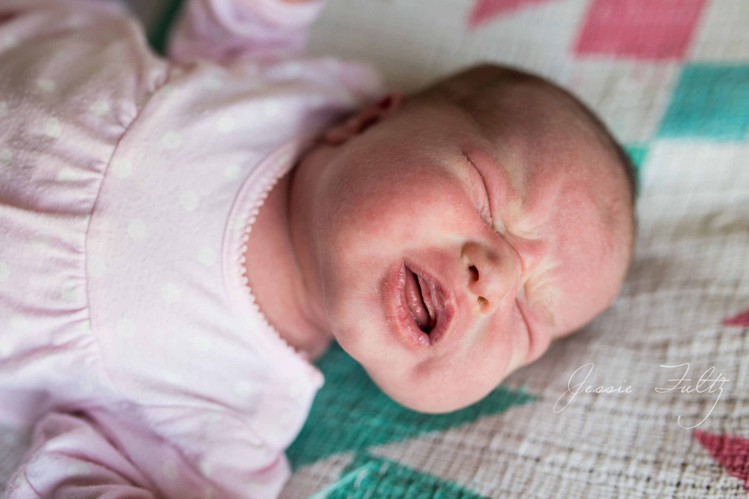 asheville-newborn-photography