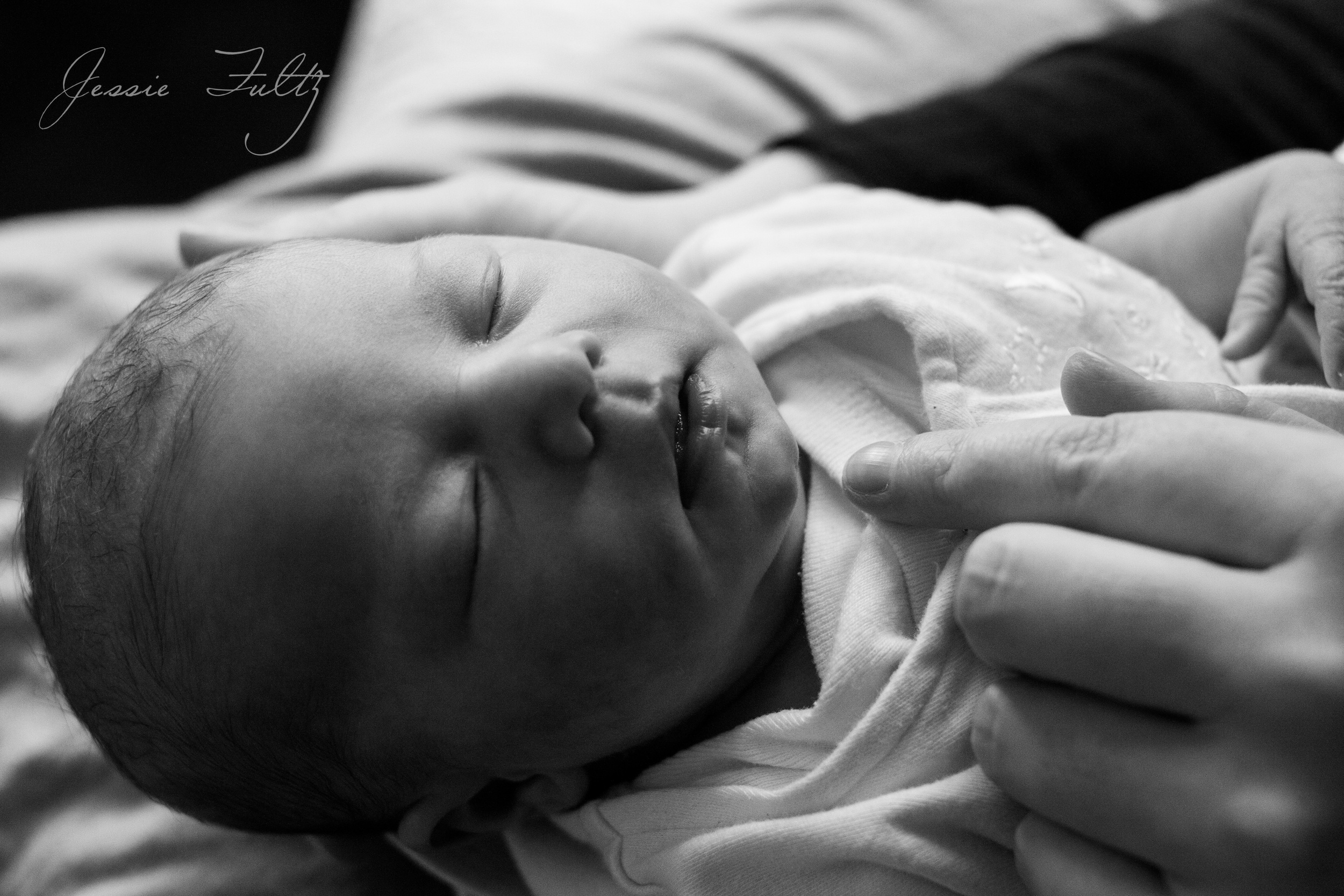 asheville-baby-photographer