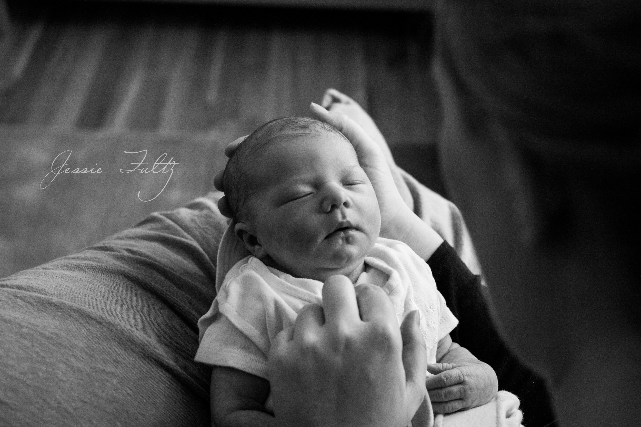 asheville-newborn-photography