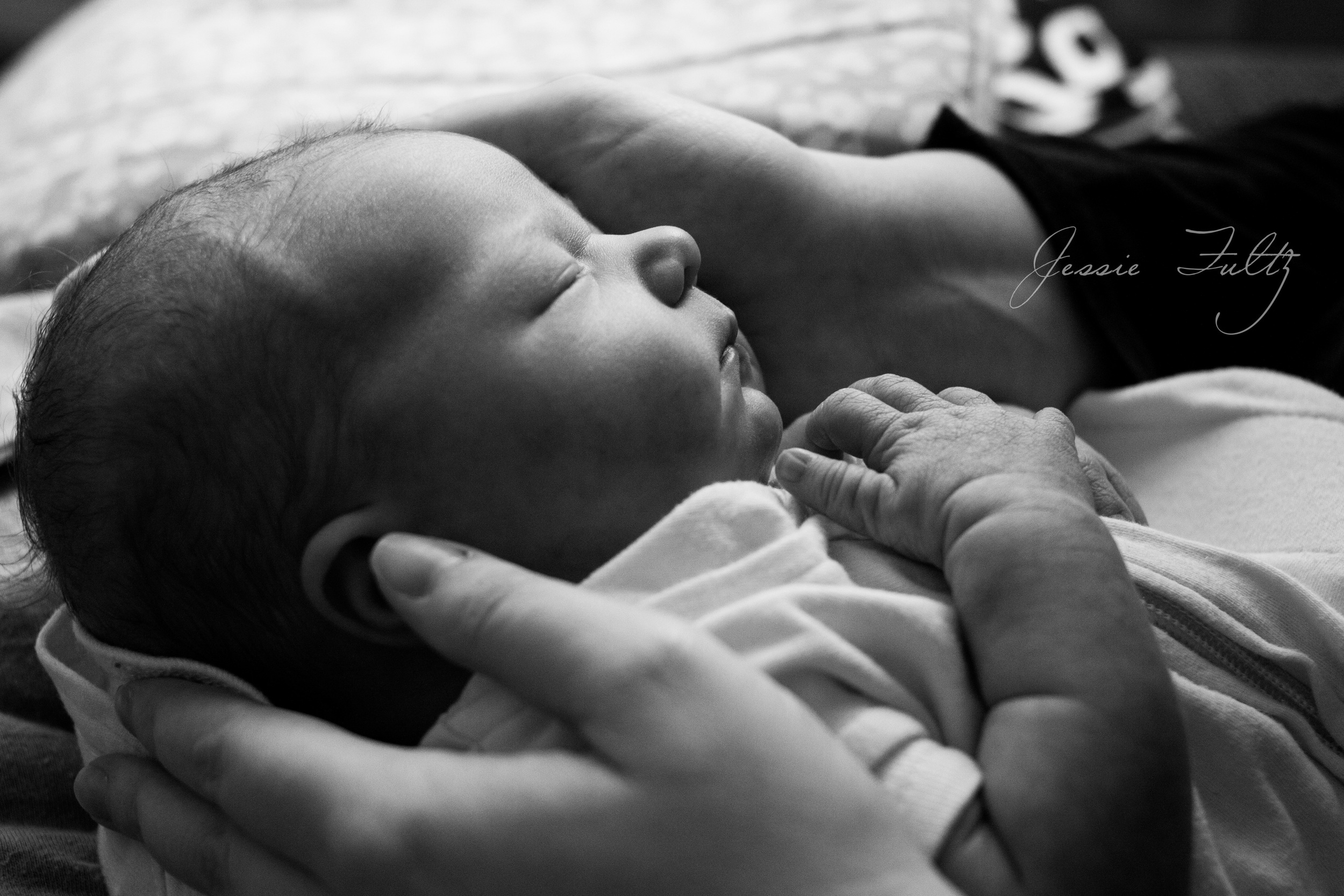 asheville-baby-photographer