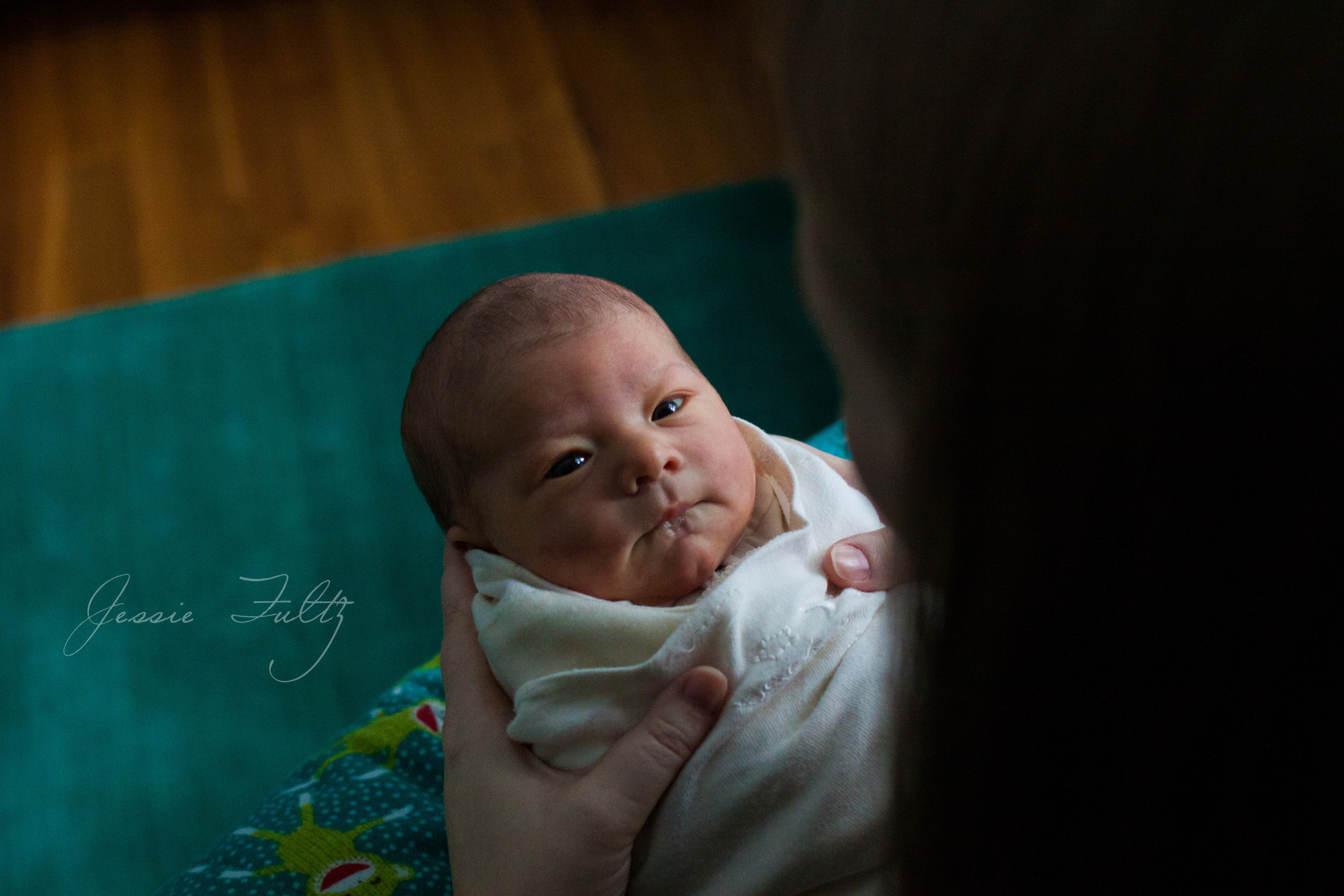 asheville-newborn-photography