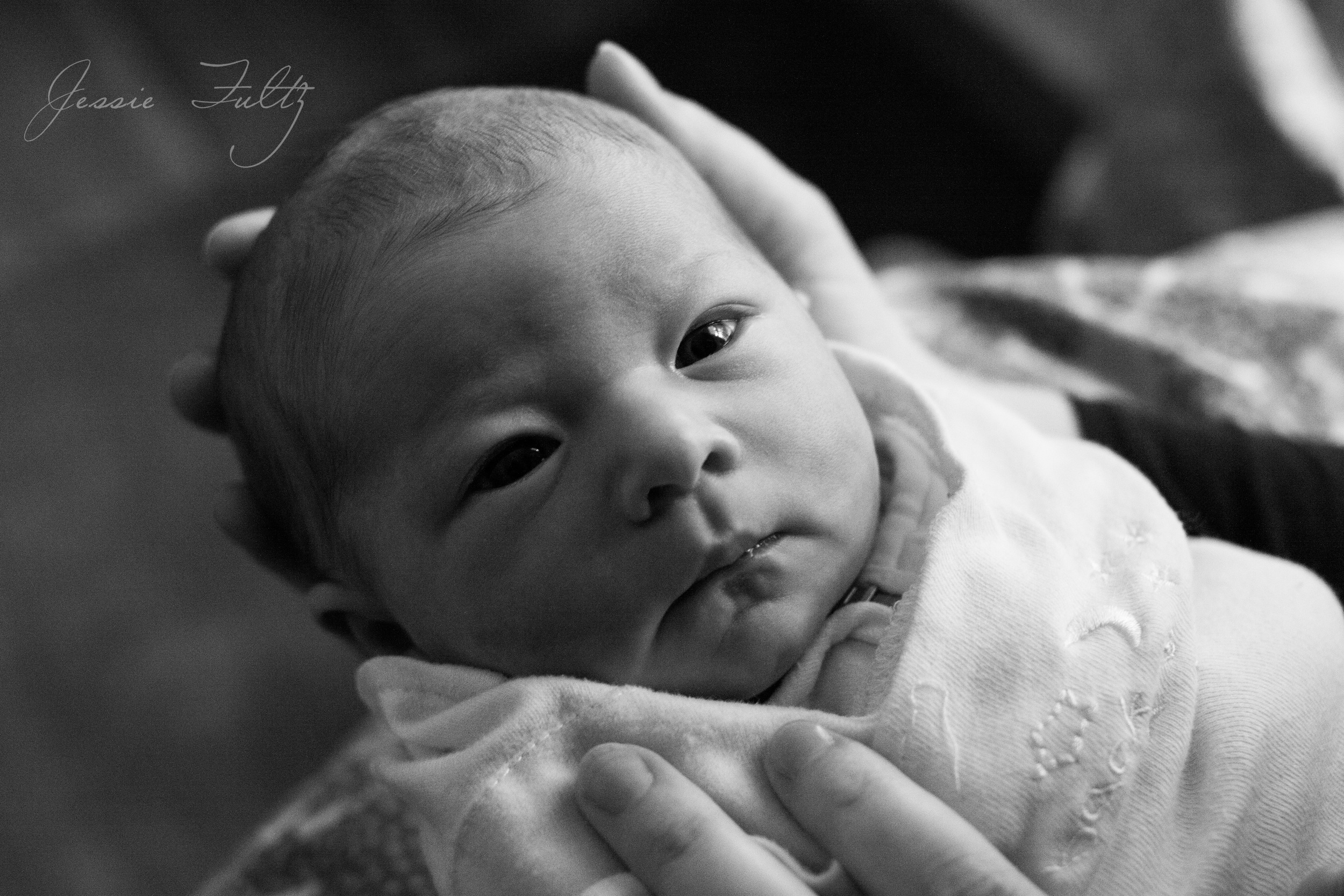 asheville-baby-photography
