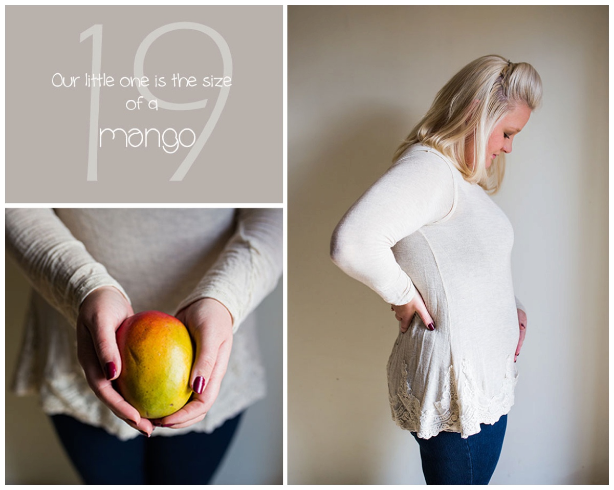 hendersonville pregnancy photography