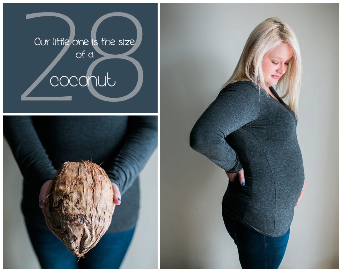 asheville baby photographer