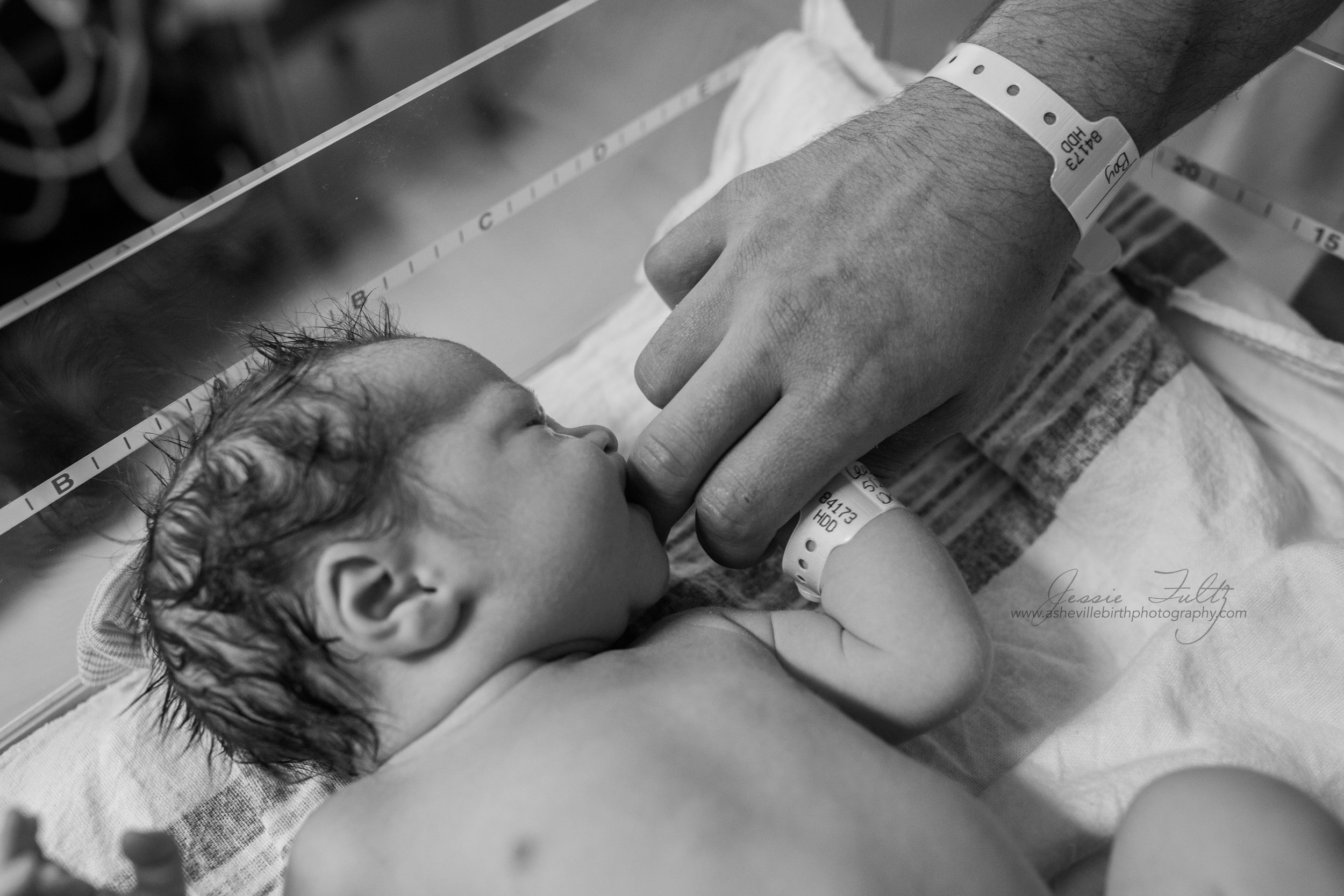 Why you need a birth photographer for your c-section  Charleston Birth  Photographer - CHARLESTON BIRTH STORIES