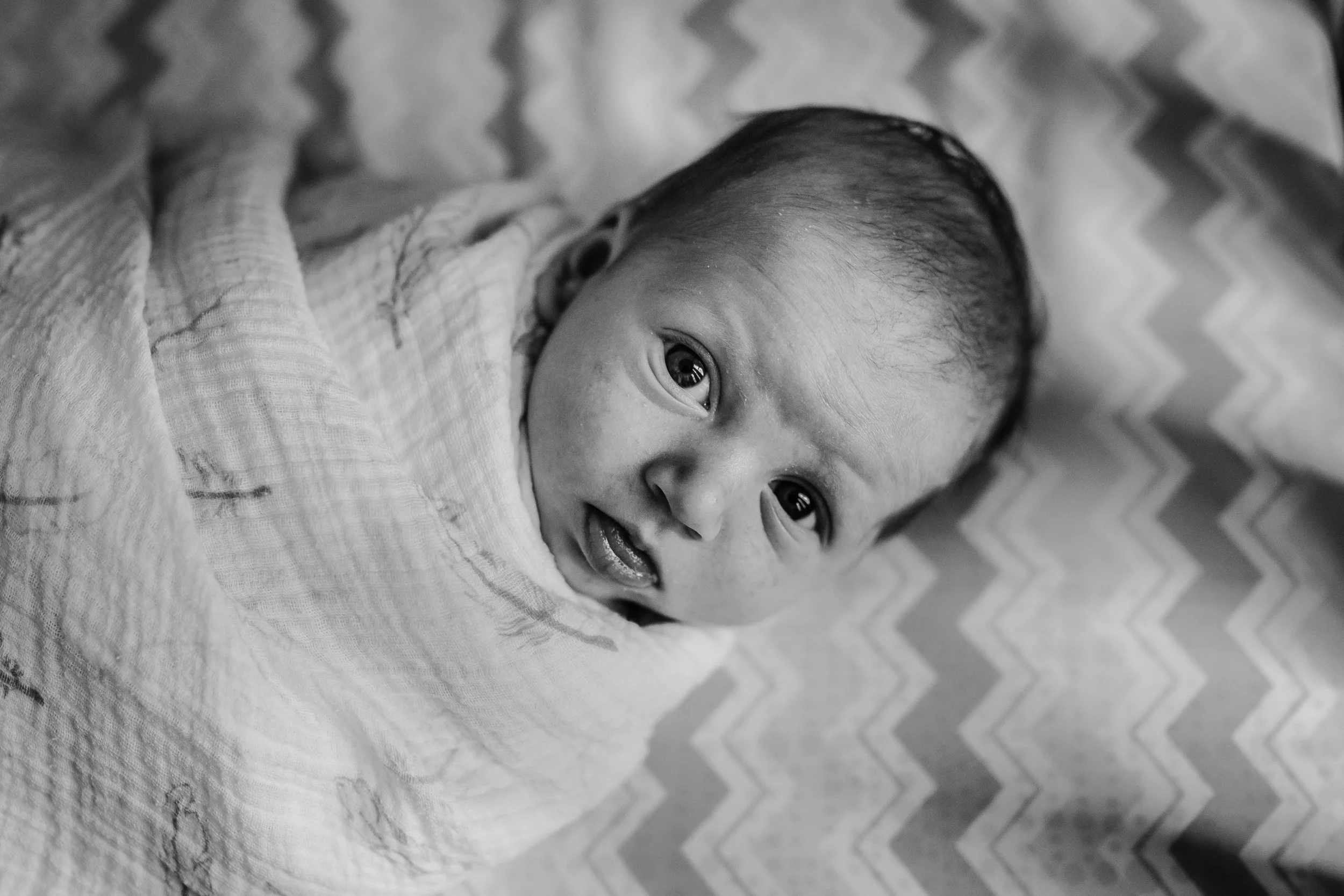 Baron Nathaniel Newborn-177-2.jpg