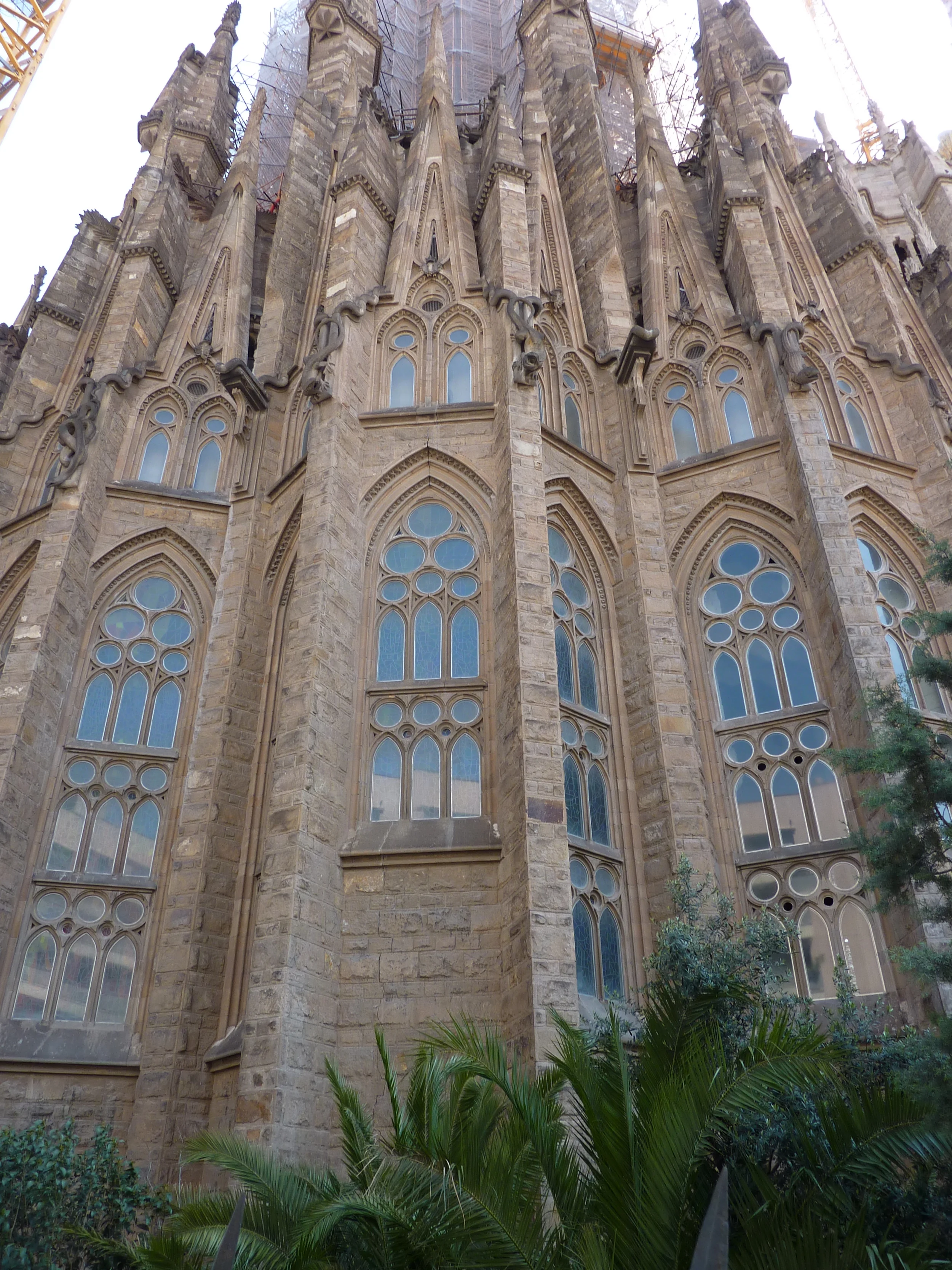 P1010518.JPG