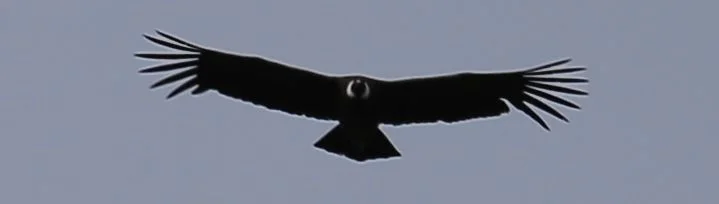 176.jpg