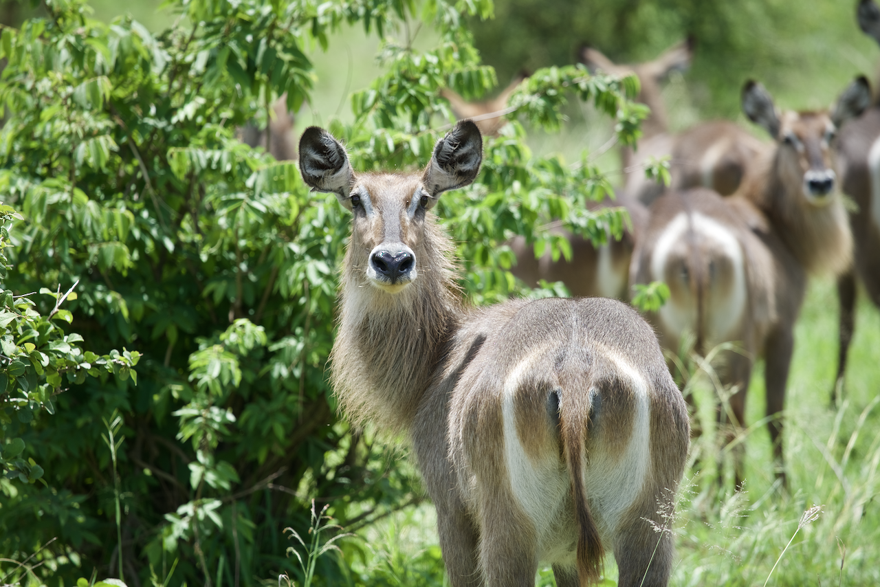25.png