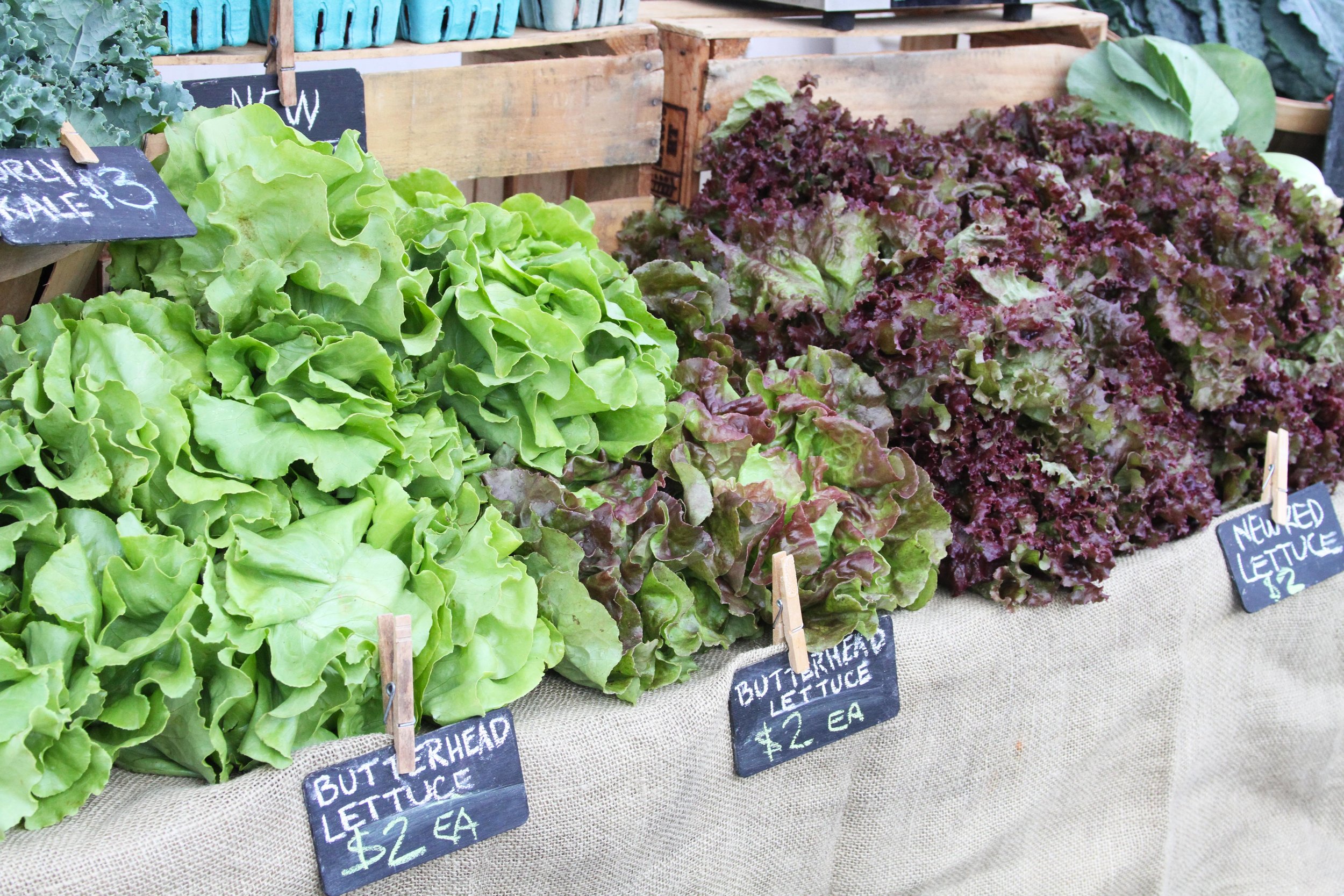 CCBC_FarmersMarket_Lettuces.jpg