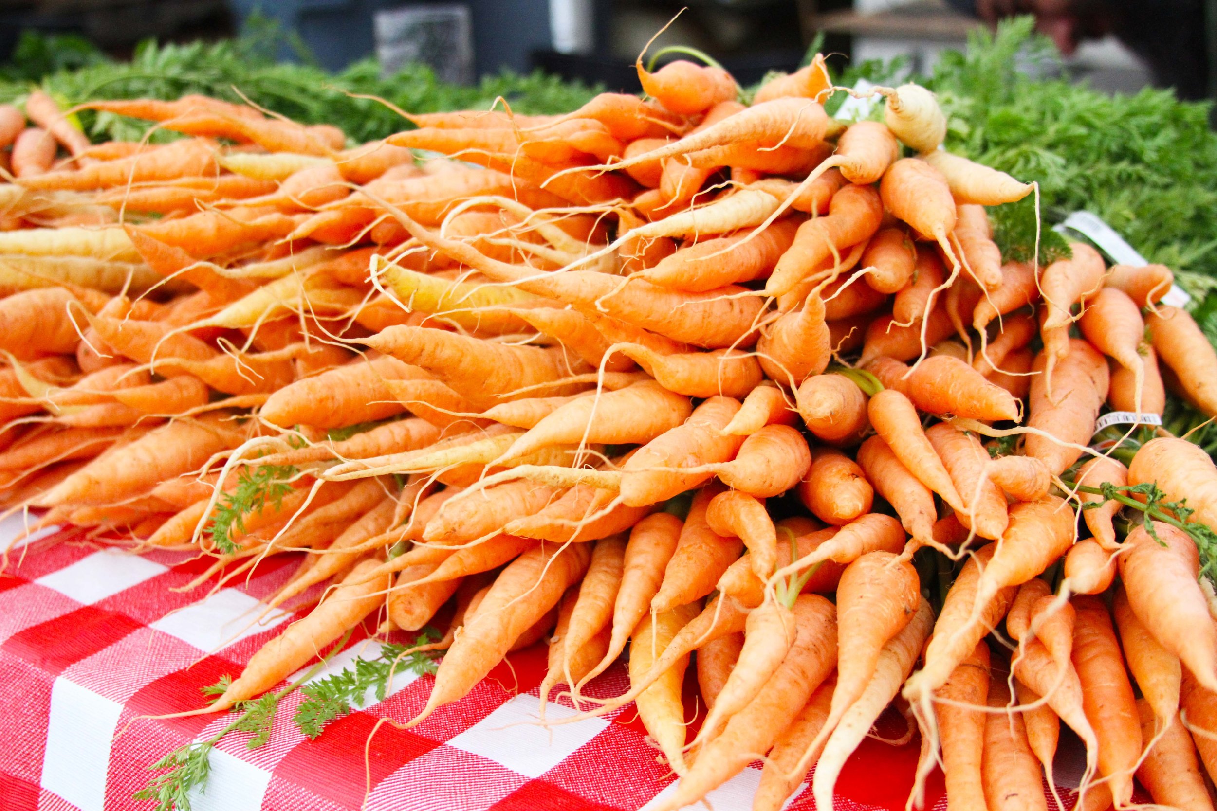 CCBC_Farmer'sMarket_2016_022.jpg