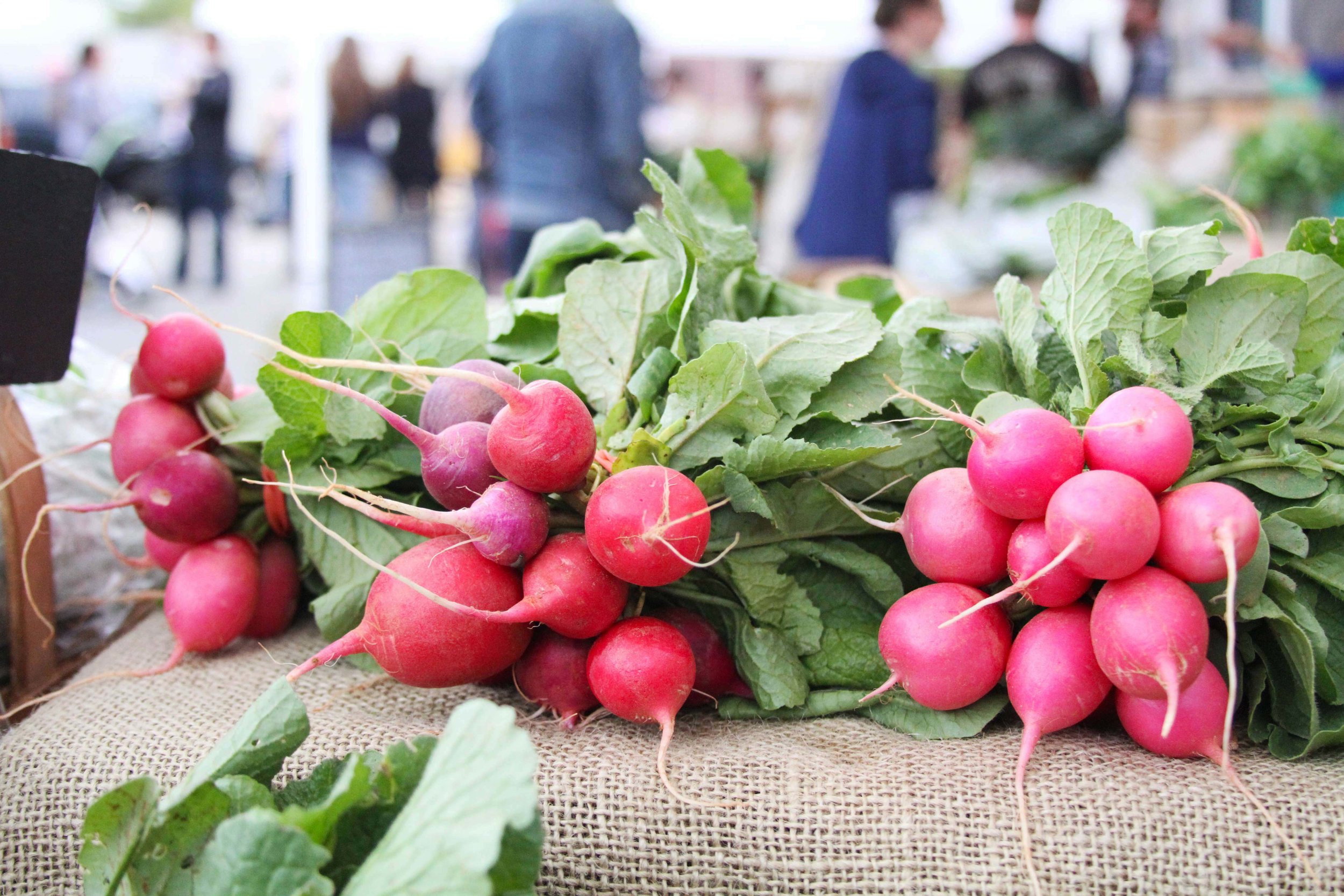 CCBC_Farmer'sMarket_2016_promo.jpg