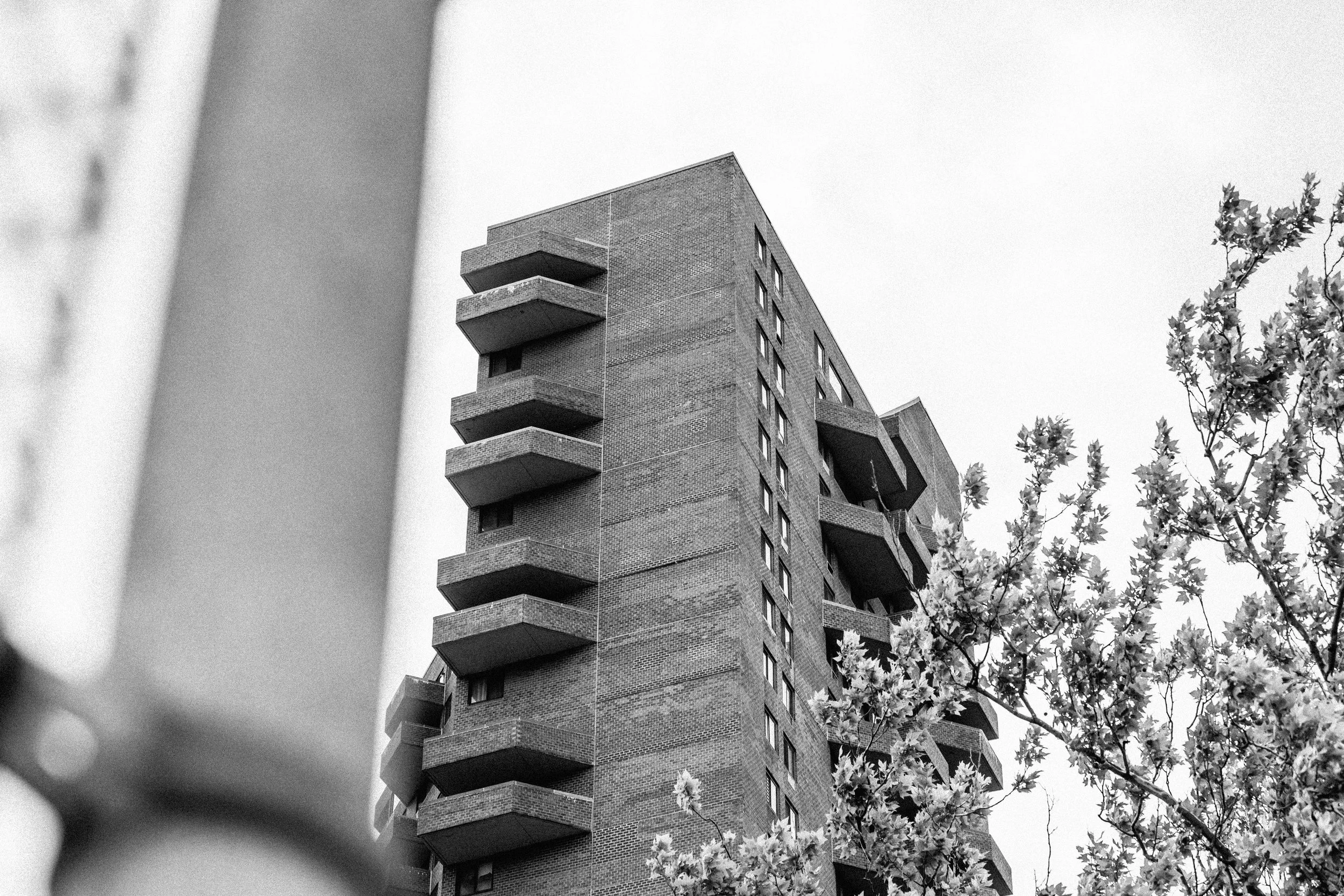 DSC_6943.jpg