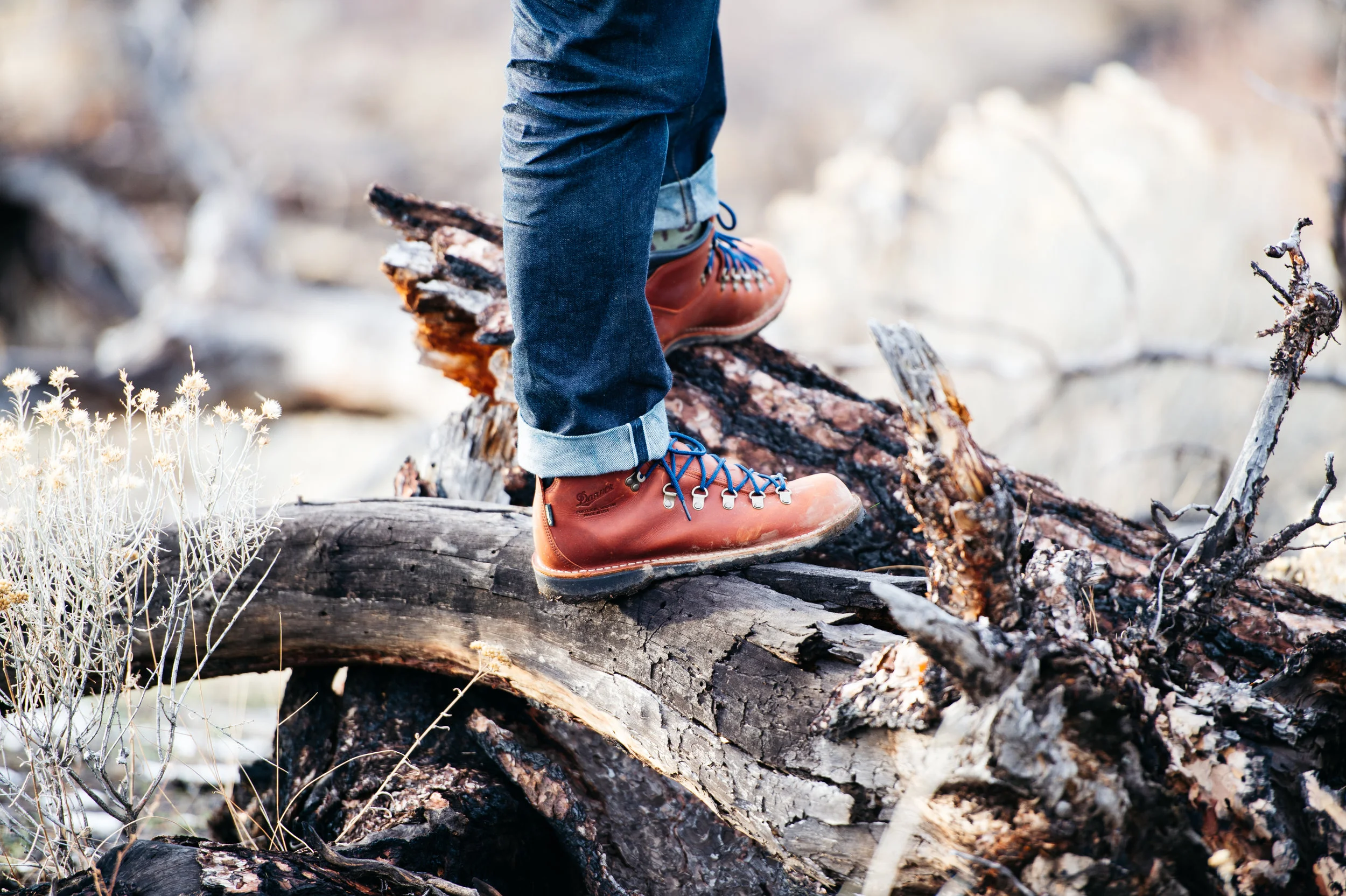 Danner_MFN-4.jpg
