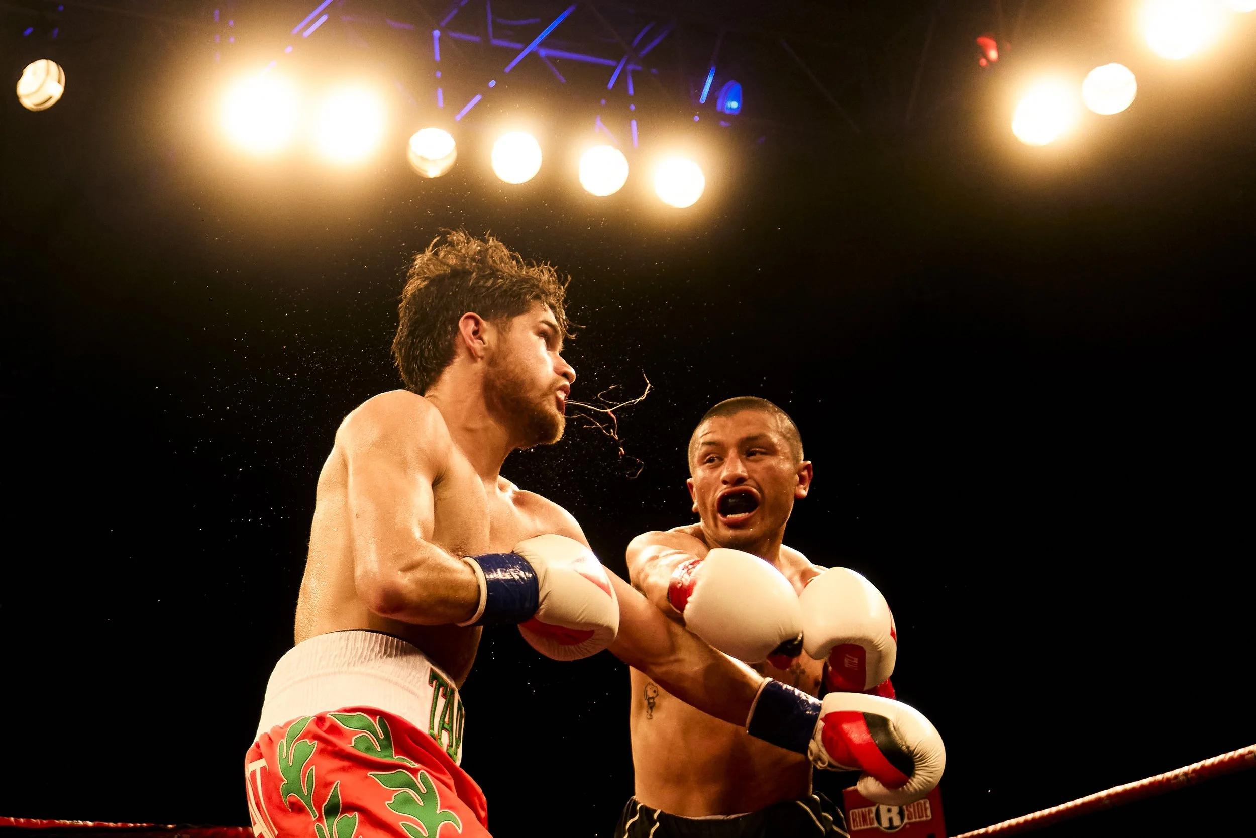 WFC_191_Fight Night-3.jpg