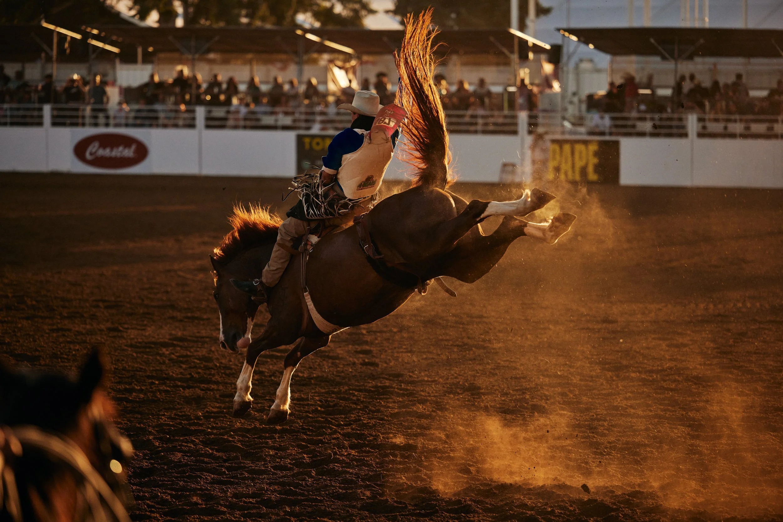 PRCA_St_Paul_Rodeo-6.jpg