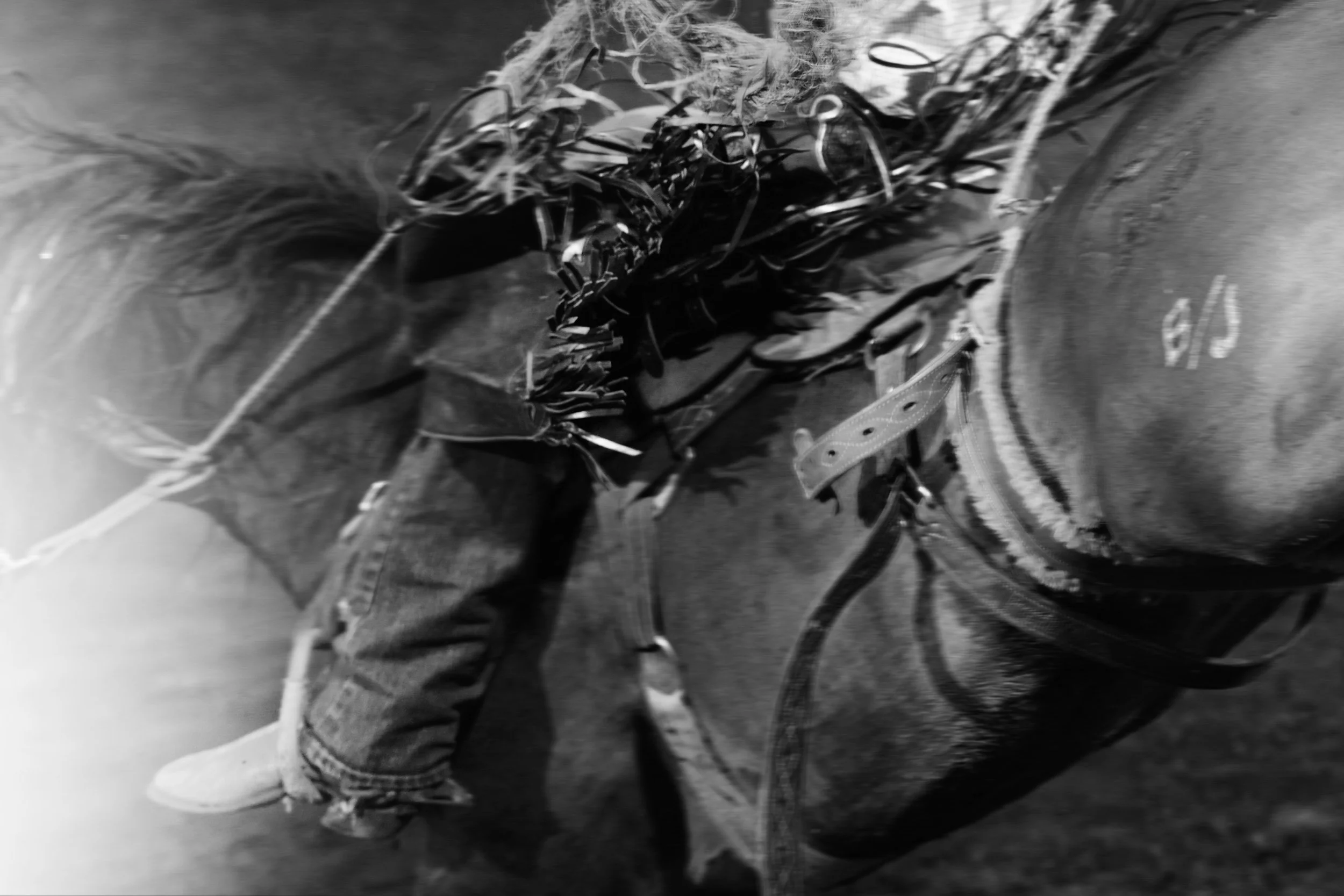 St.Paul_Rodeo_2025-6.jpg