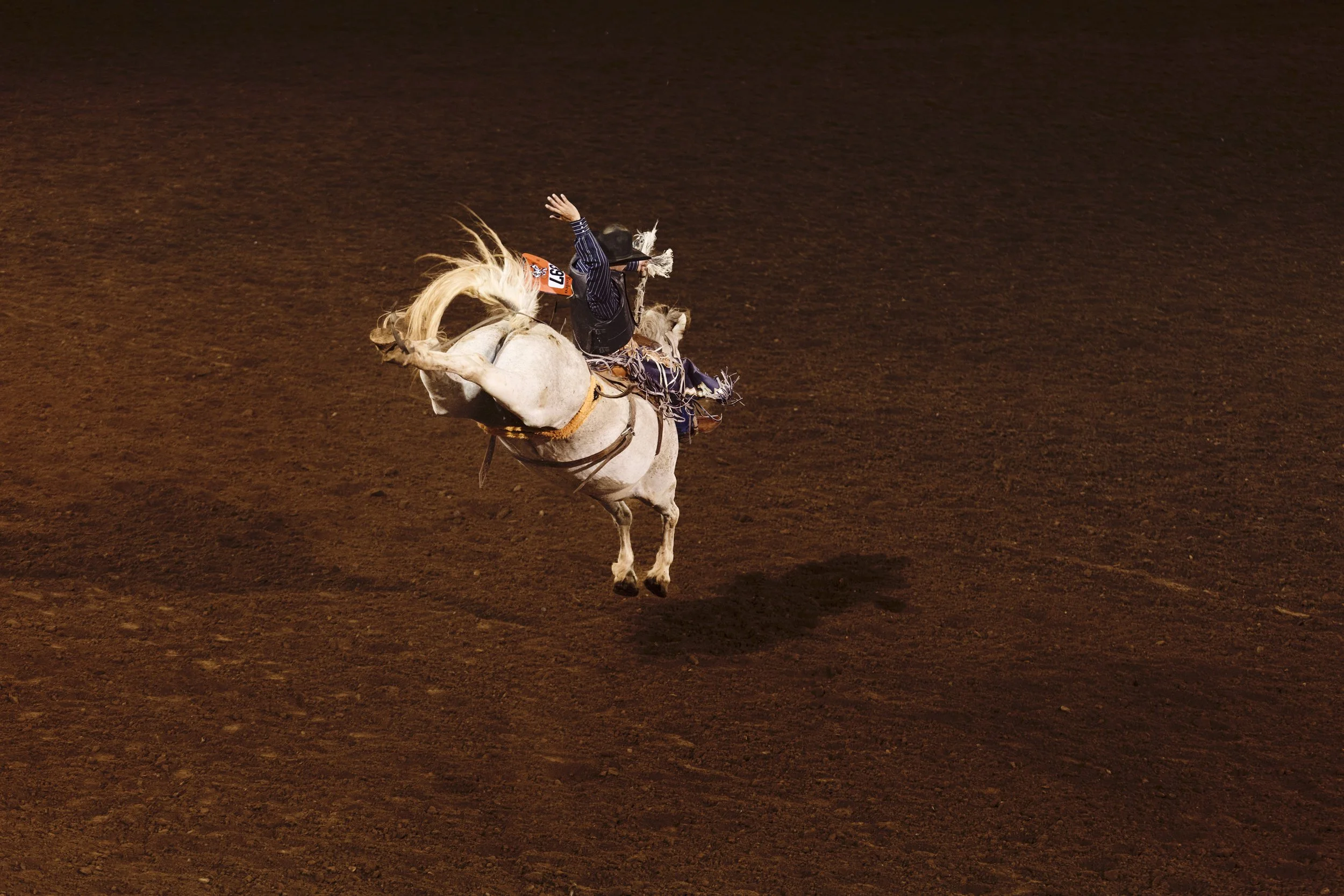 St Paul Rodeo 2026 Rodeo Kyle Hannon-11.jpg