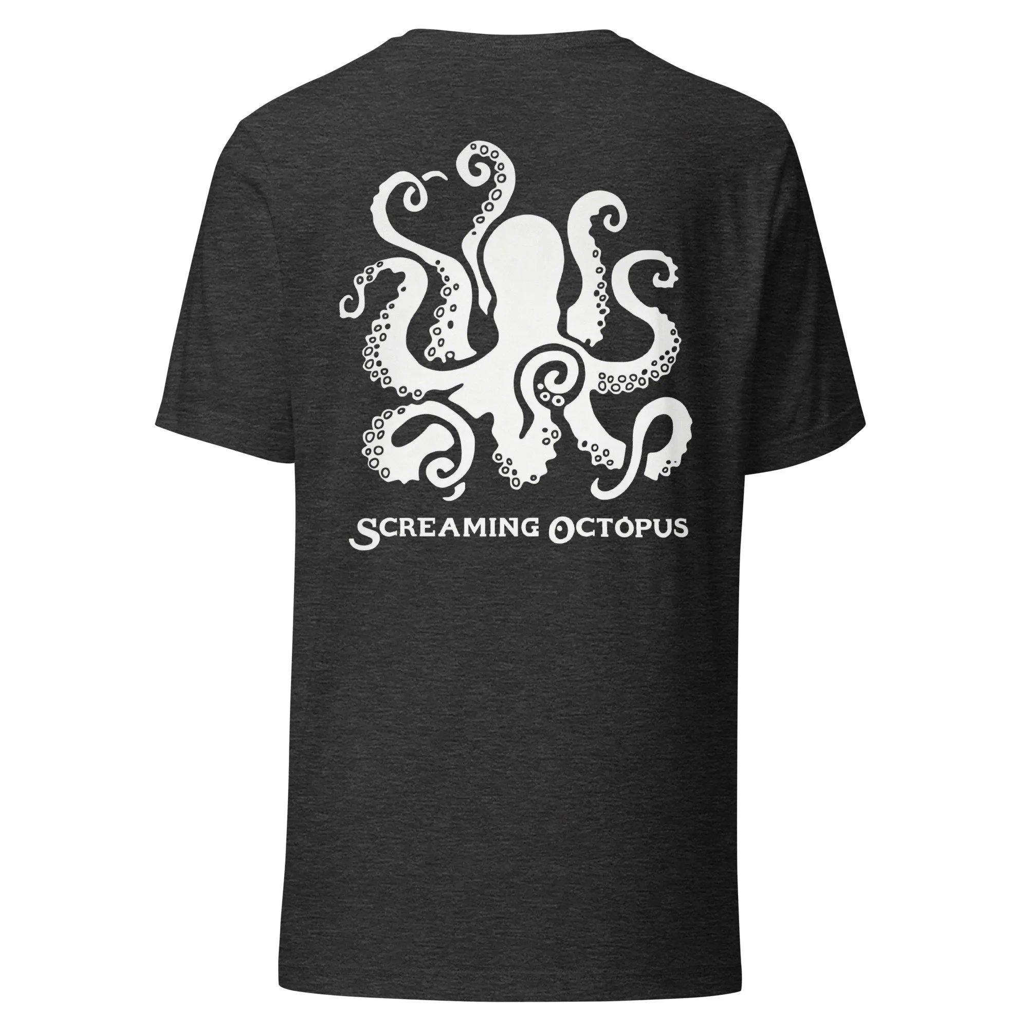 unisex-staple-t-shirt-dark-grey-heather-back-6948895e7f663.jpg
