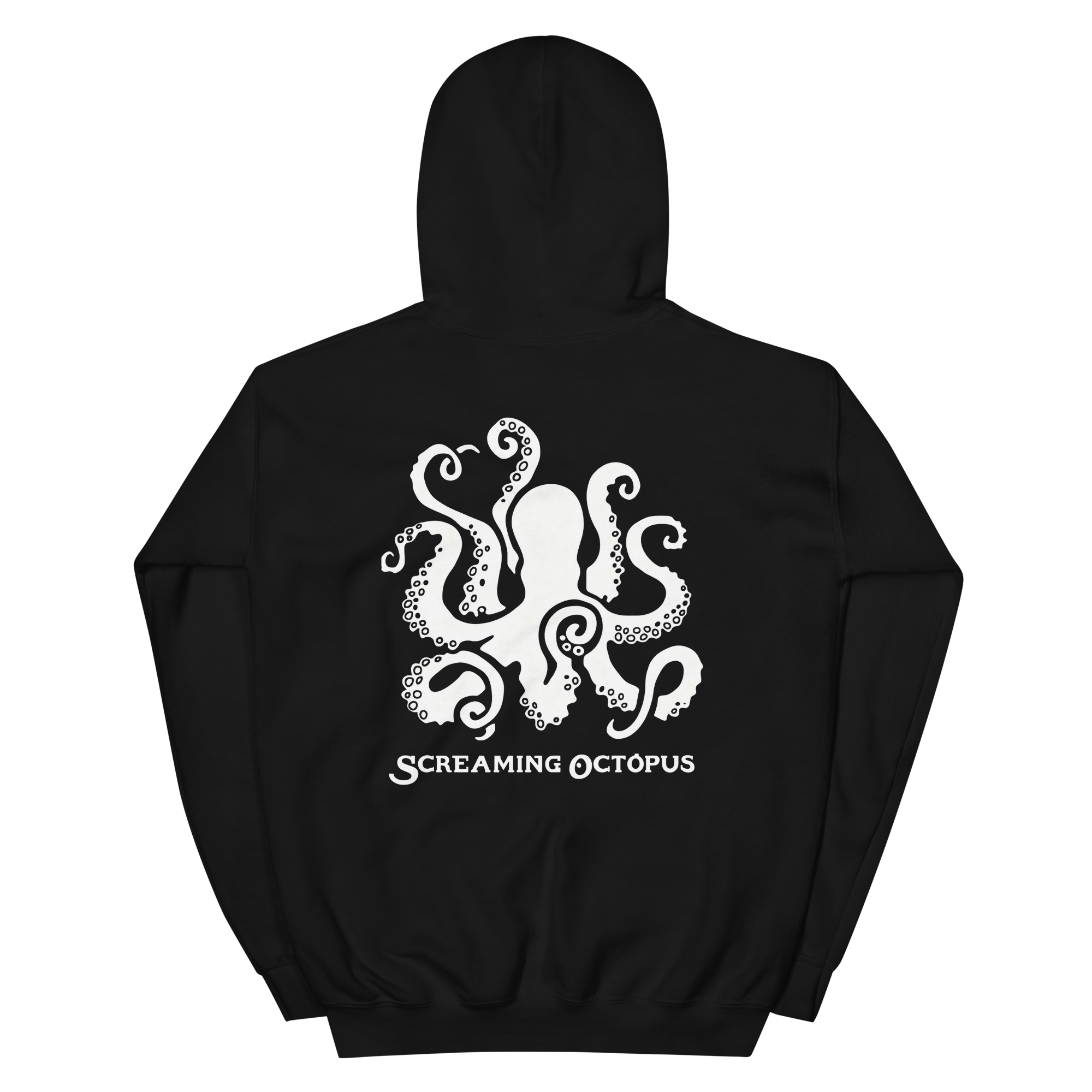 unisex-heavy-blend-hoodie-black-back-69497829a37ba.png